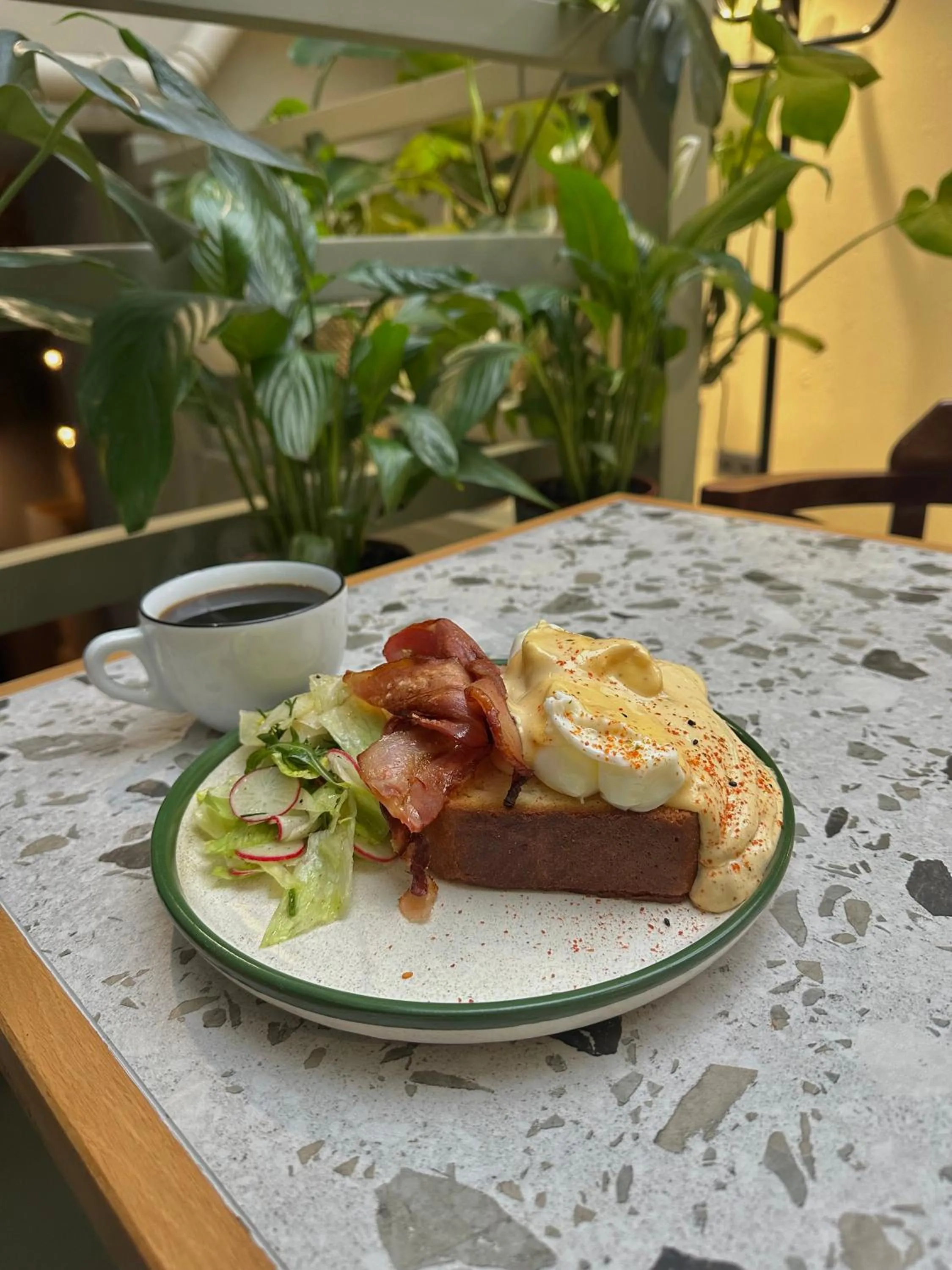 Restaurant/places to eat in Shalom Kazimierz