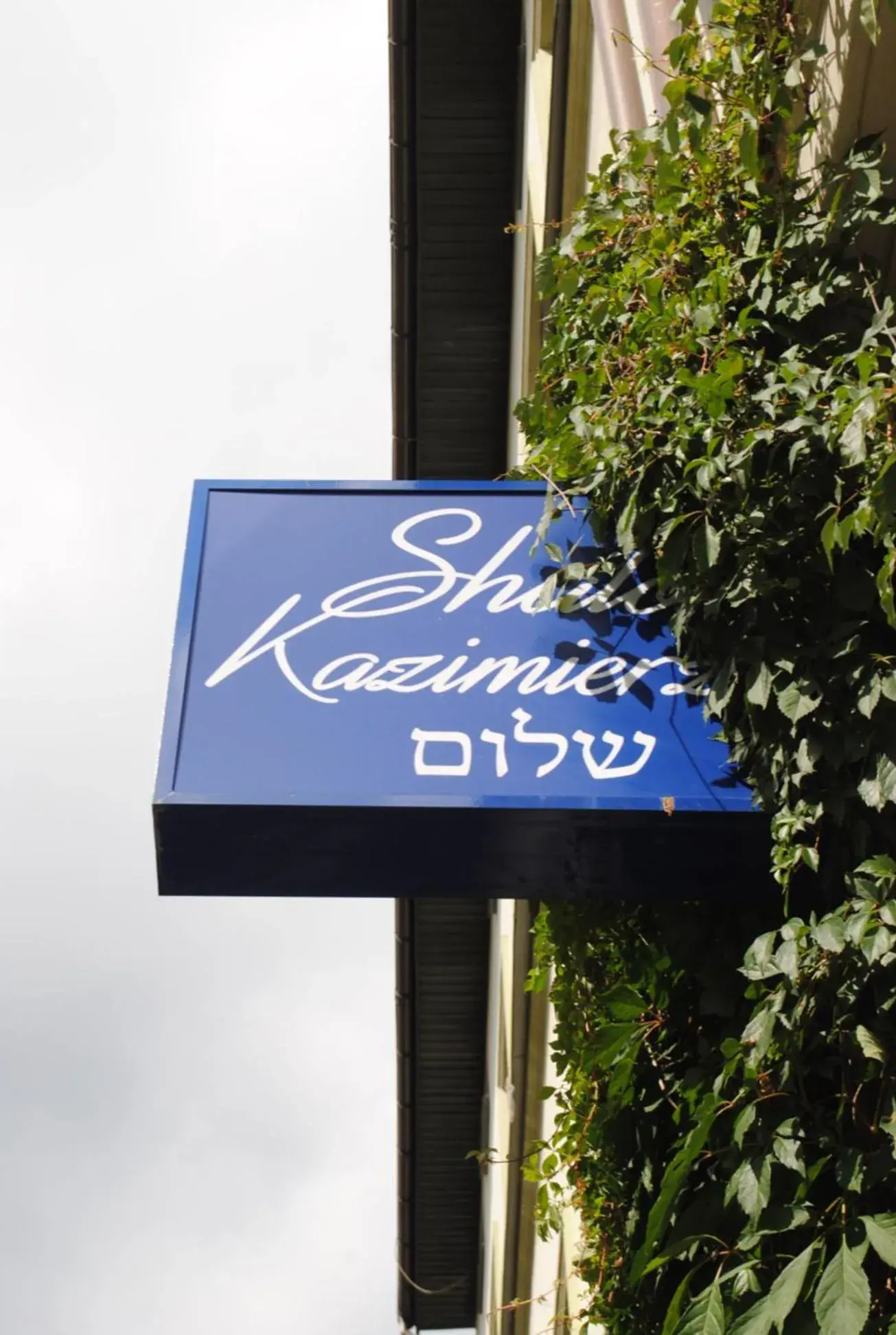 Property building in Shalom Kazimierz Property building in Shalom Kazimierz