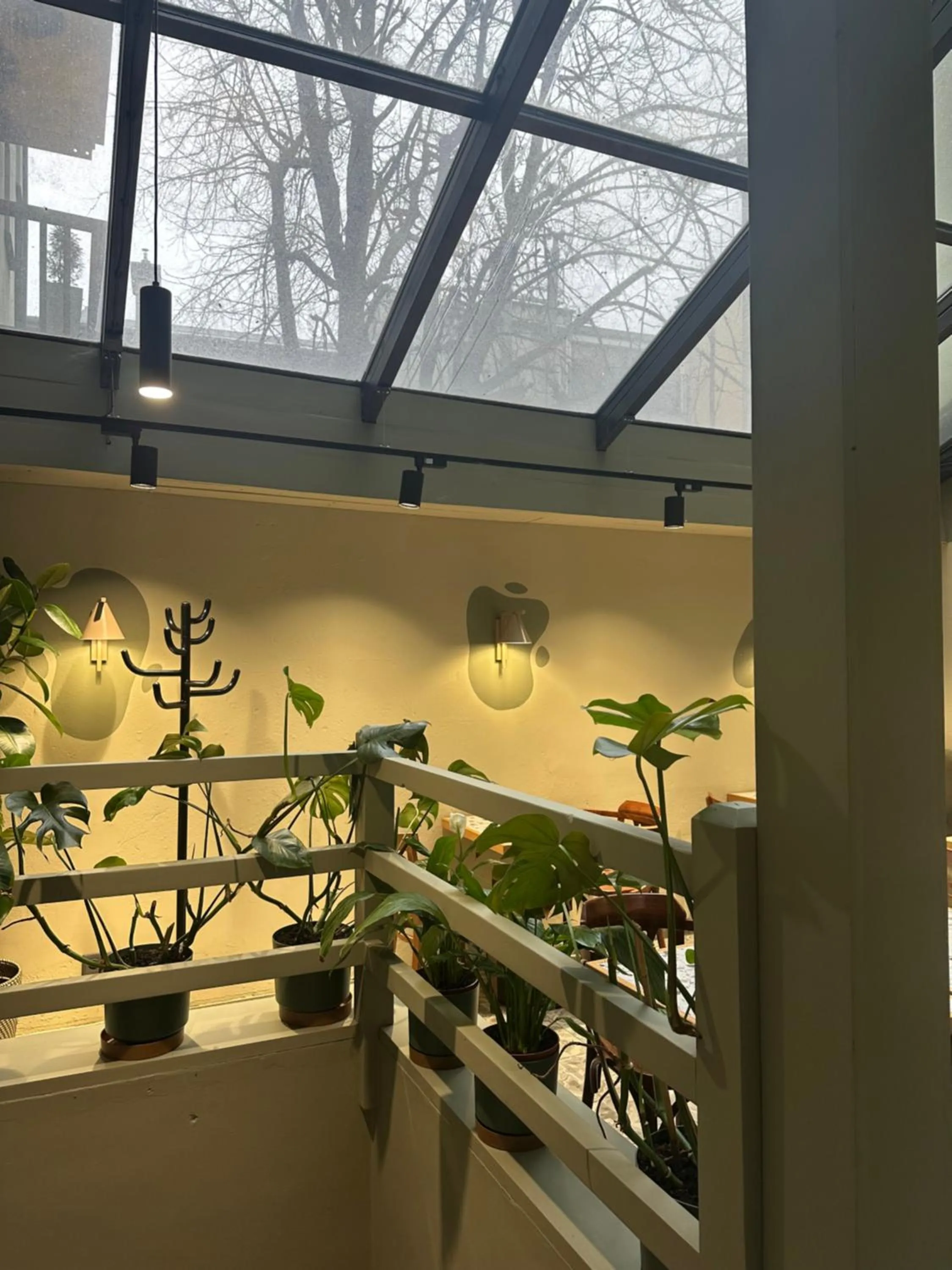 Restaurant/places to eat in Shalom Kazimierz