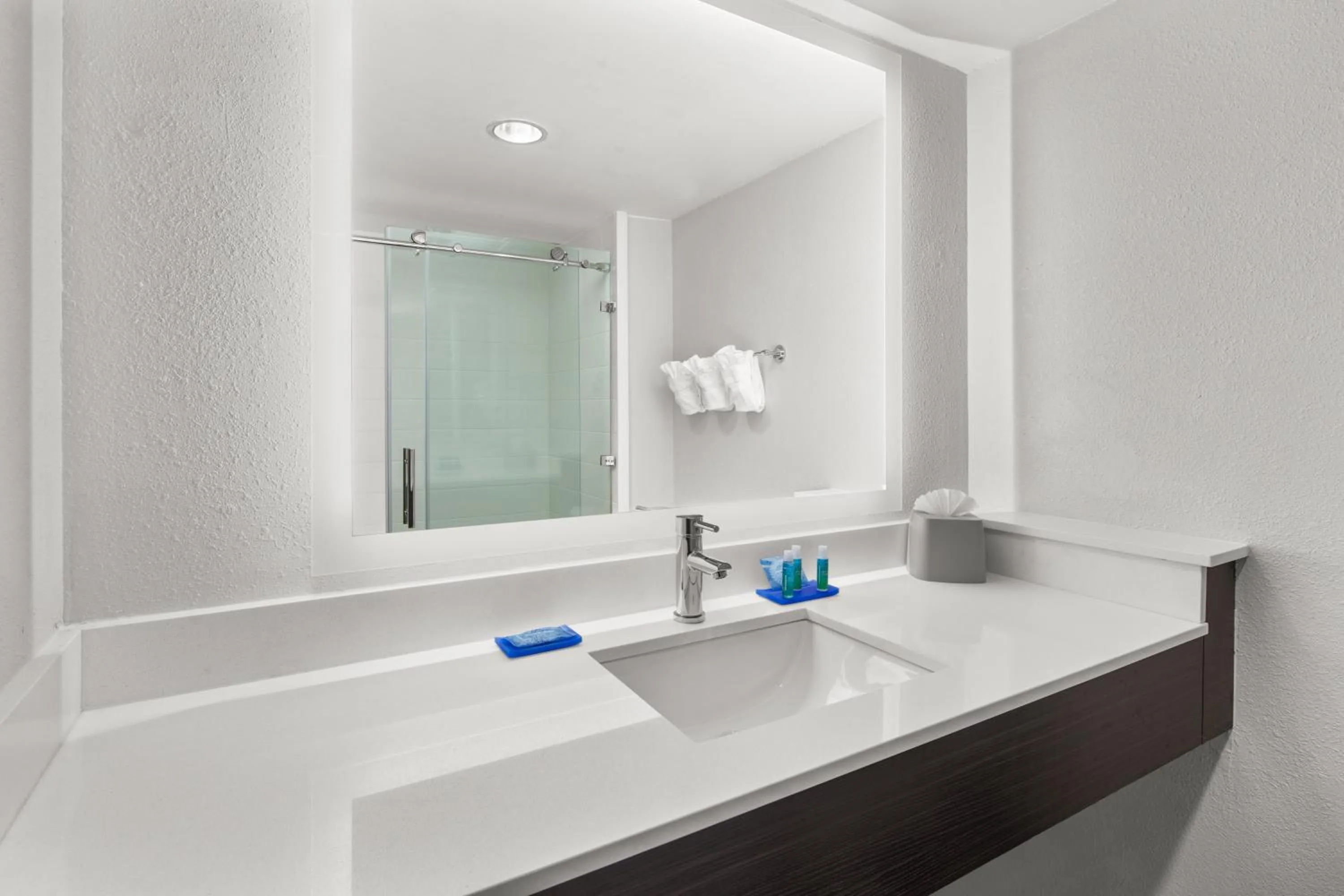 Bathroom in Holiday Inn Express Hotels & Suites Greenville-Spartanburg/Duncan by IHG