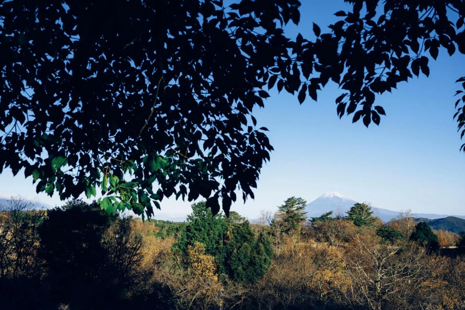 View (from property/room) in Laforet Shuzenji Sanshisuimei