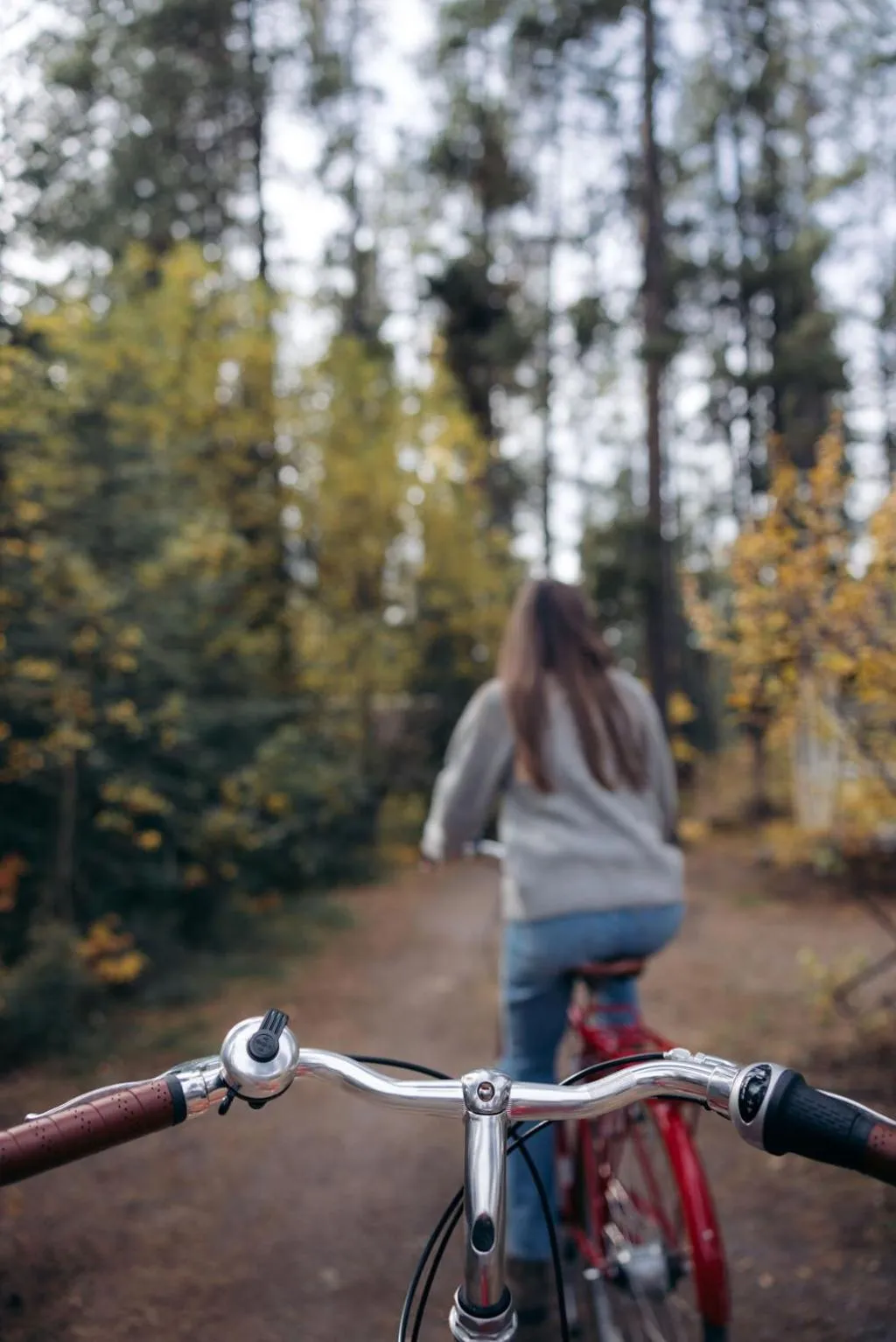 Cycling in Johnston Canyon Lodge & Bungalows