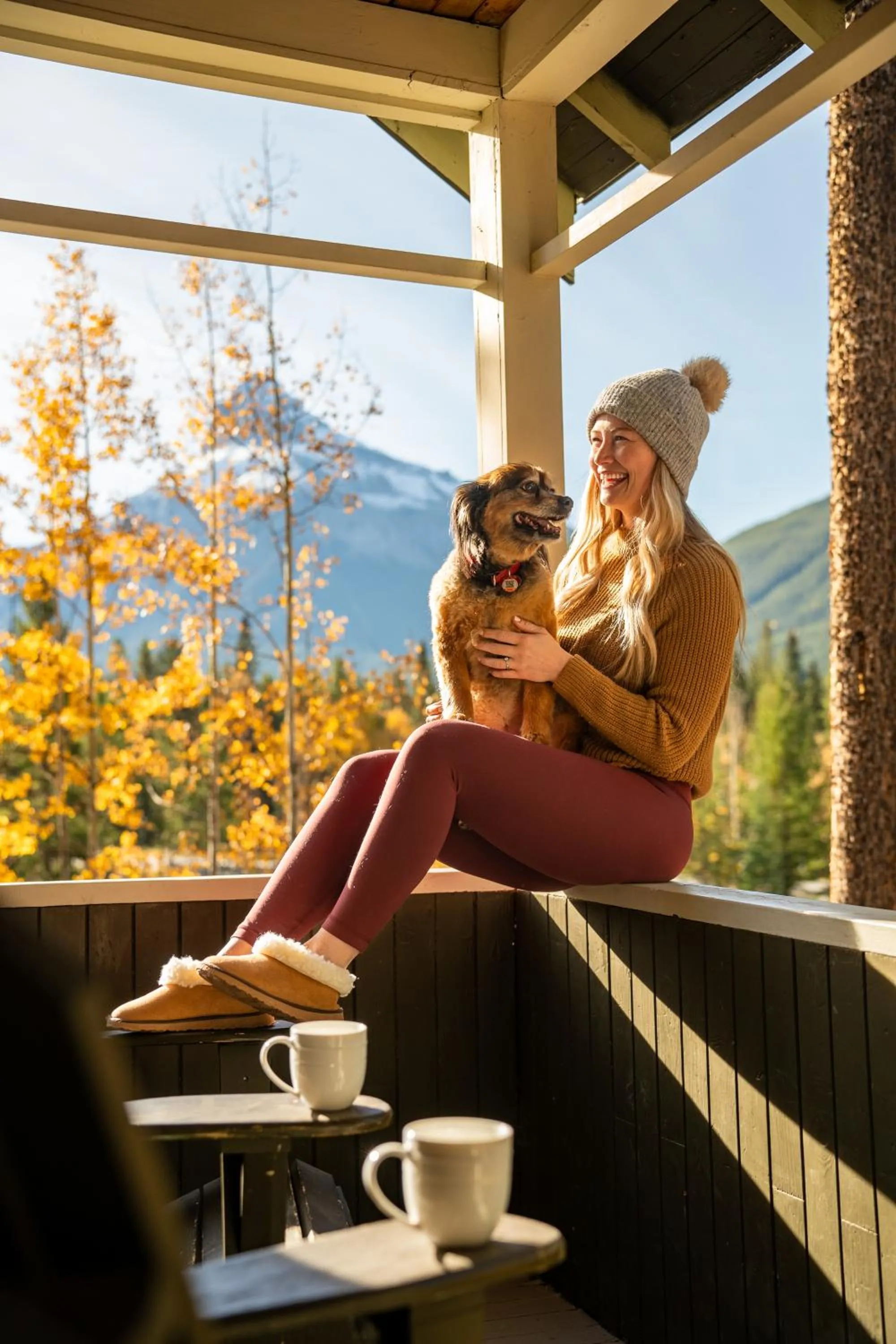 View (from property/room) in Johnston Canyon Lodge & Bungalows