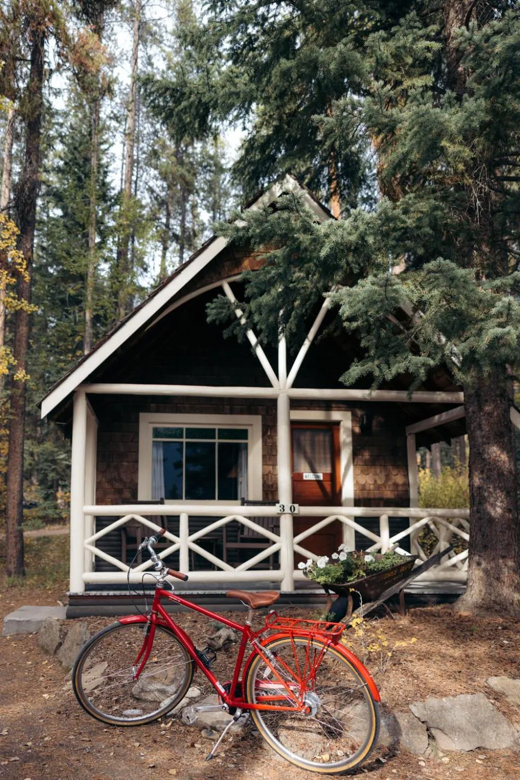 Cycling in Johnston Canyon Lodge & Bungalows