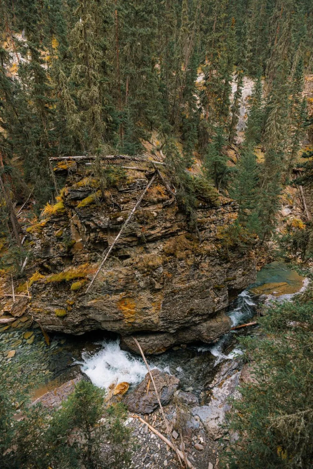 Hiking in Johnston Canyon Lodge & Bungalows