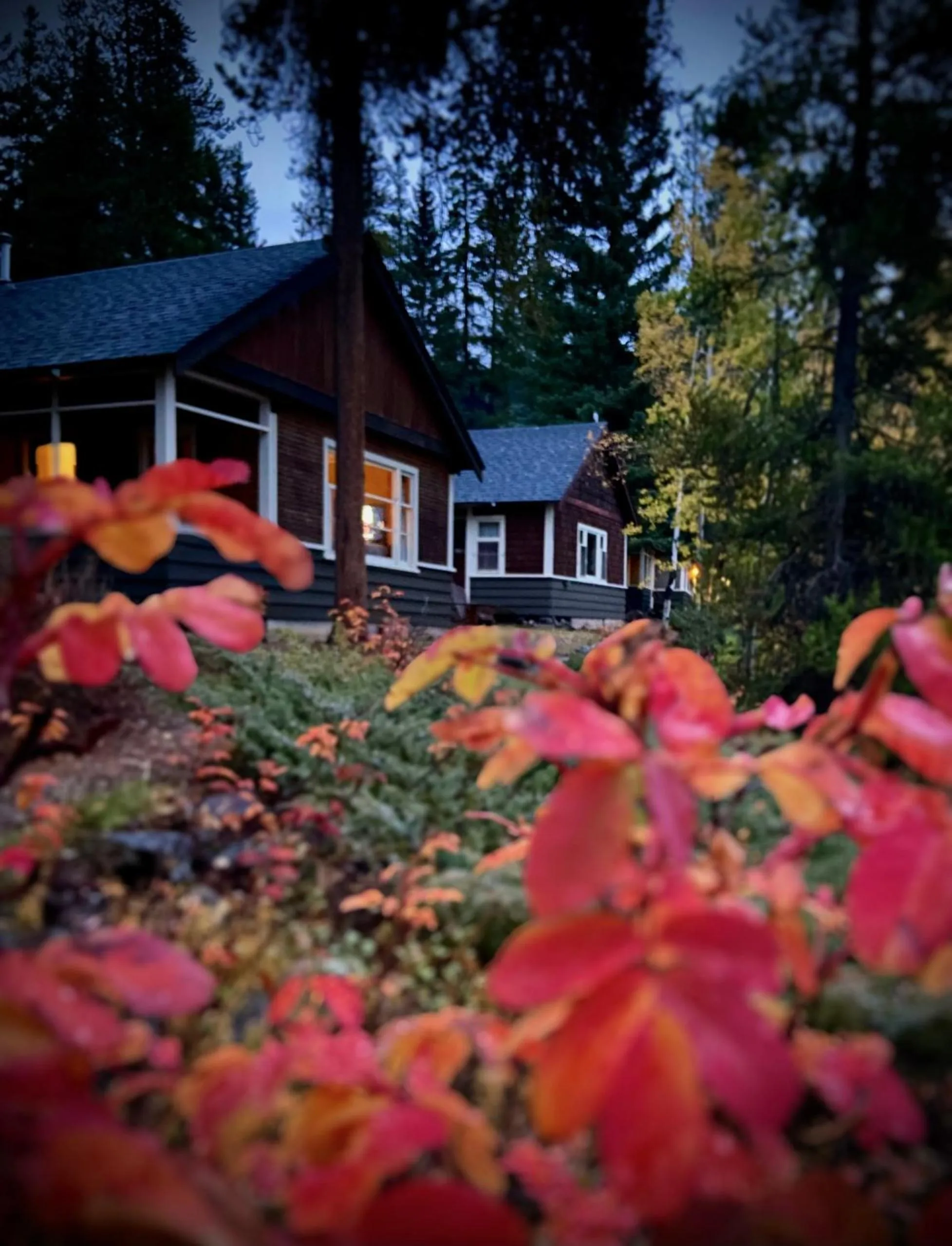 Garden in Johnston Canyon Lodge & Bungalows