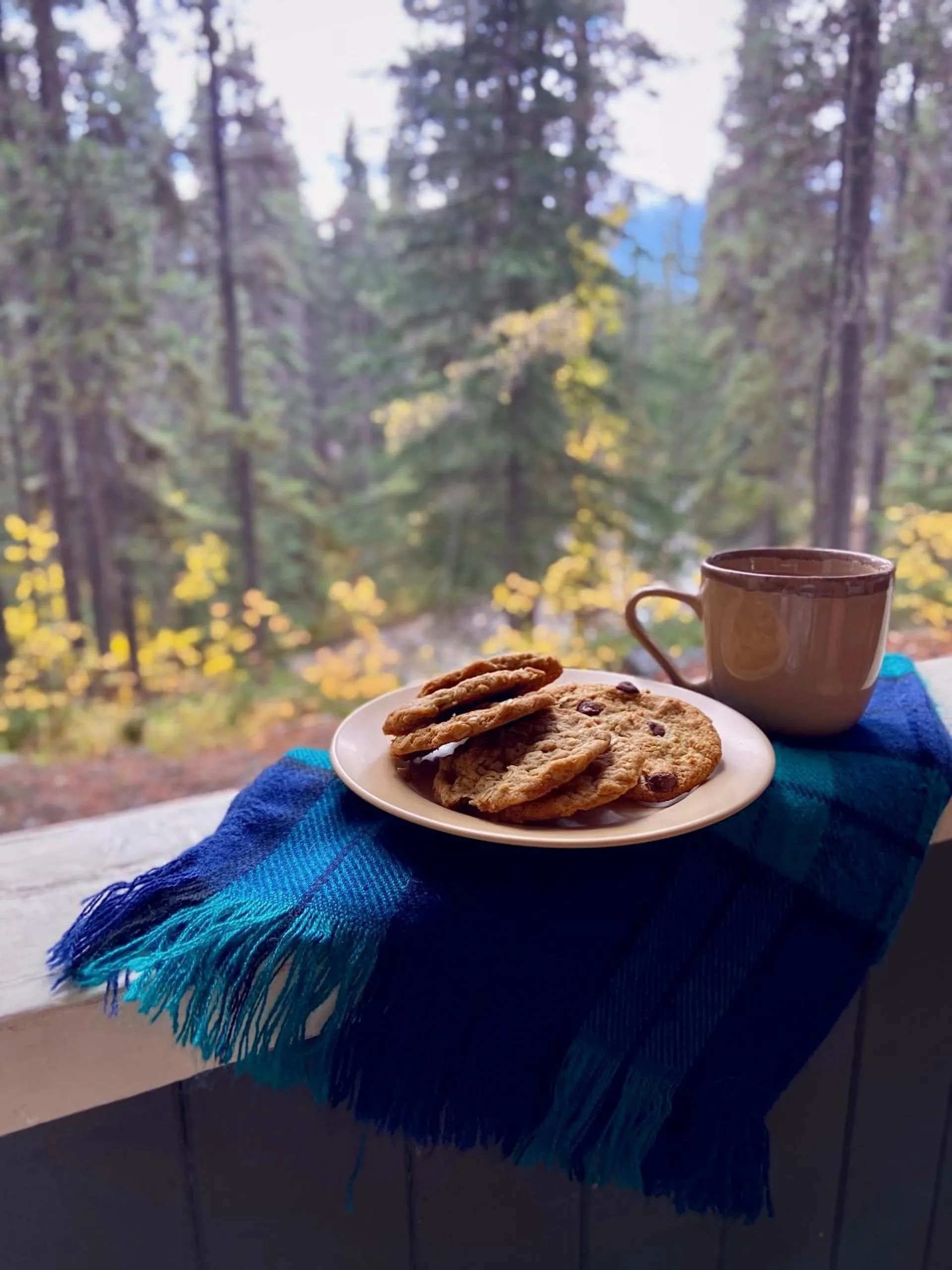 Balcony/Terrace in Johnston Canyon Lodge & Bungalows