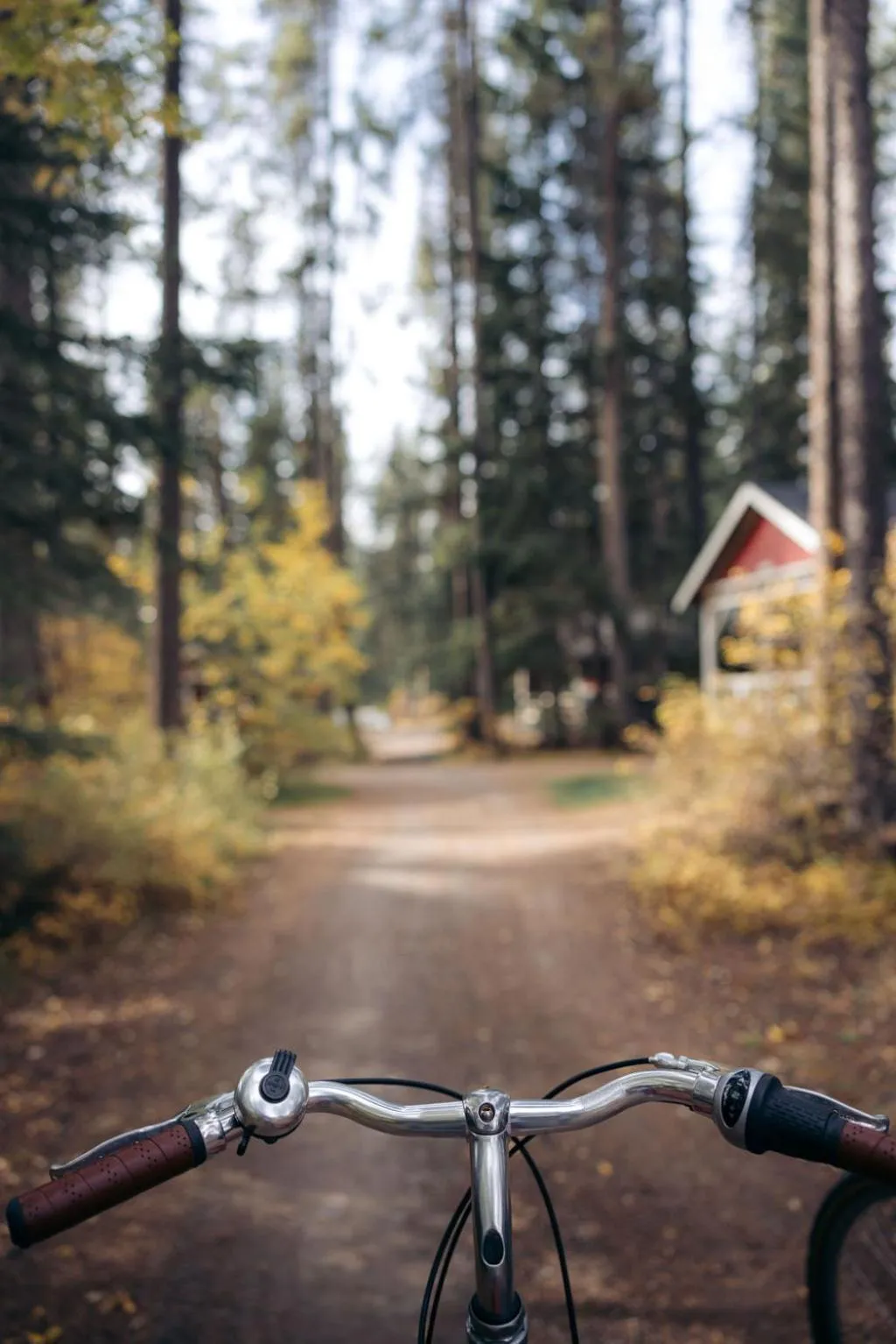 Cycling in Johnston Canyon Lodge & Bungalows