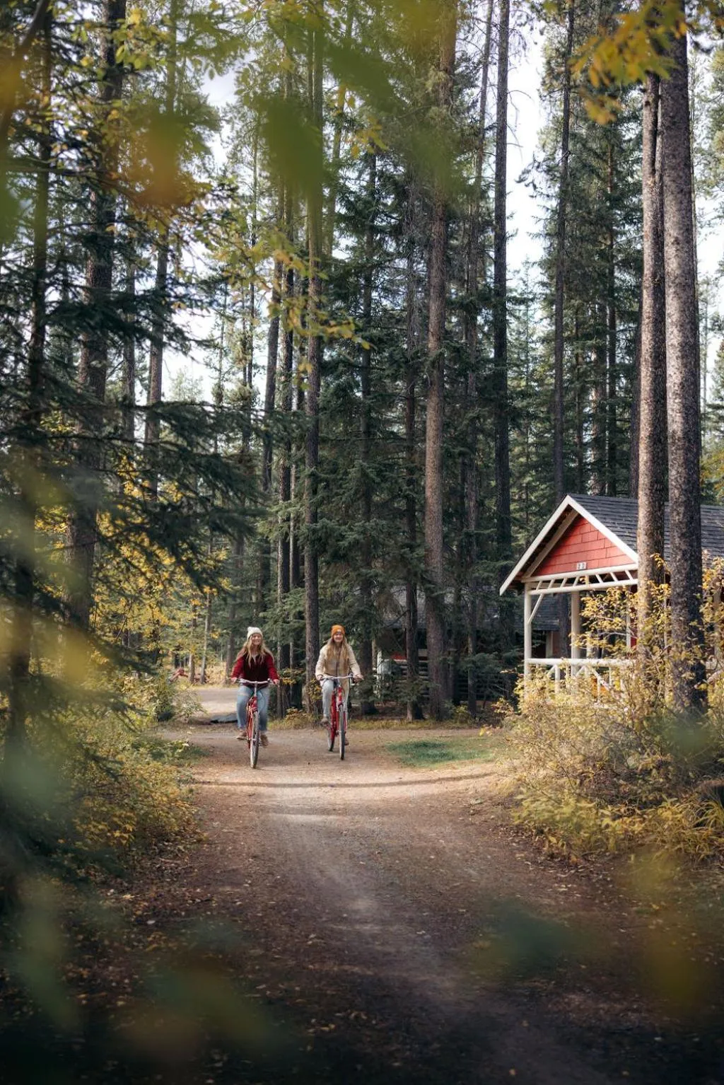 Cycling in Johnston Canyon Lodge & Bungalows