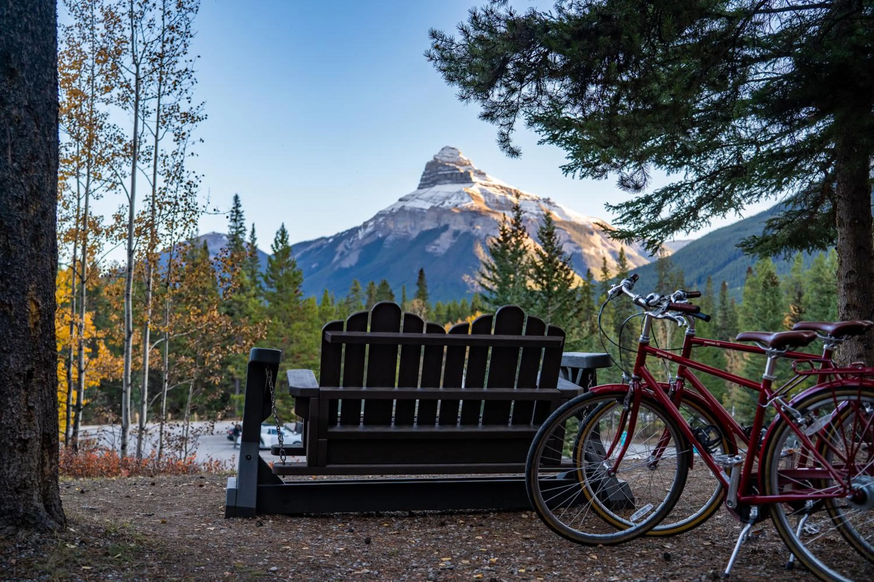 Garden in Johnston Canyon Lodge & Bungalows