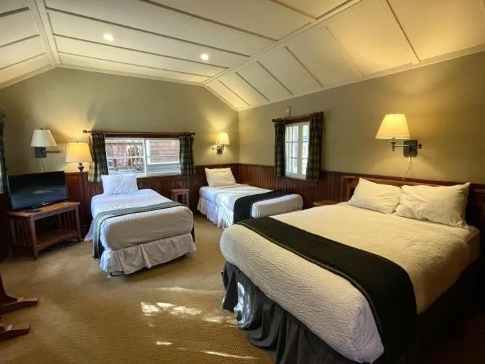 Bed in Johnston Canyon Lodge & Bungalows