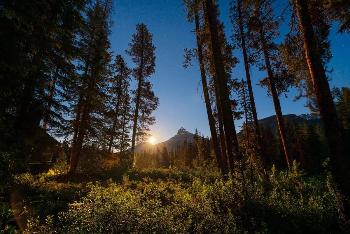 View (from property/room) in Johnston Canyon Lodge & Bungalows