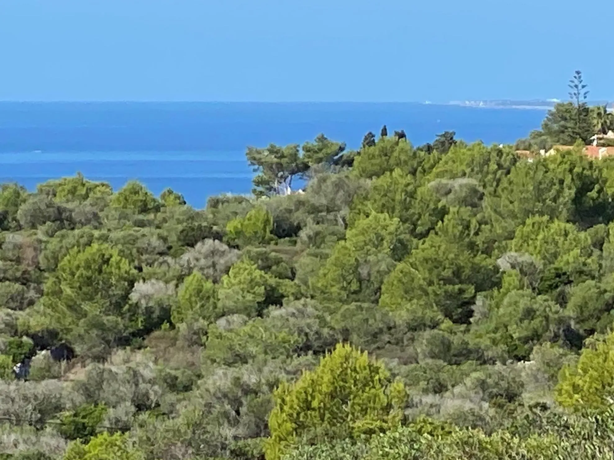 Holiday Home Finca SANT JAUME