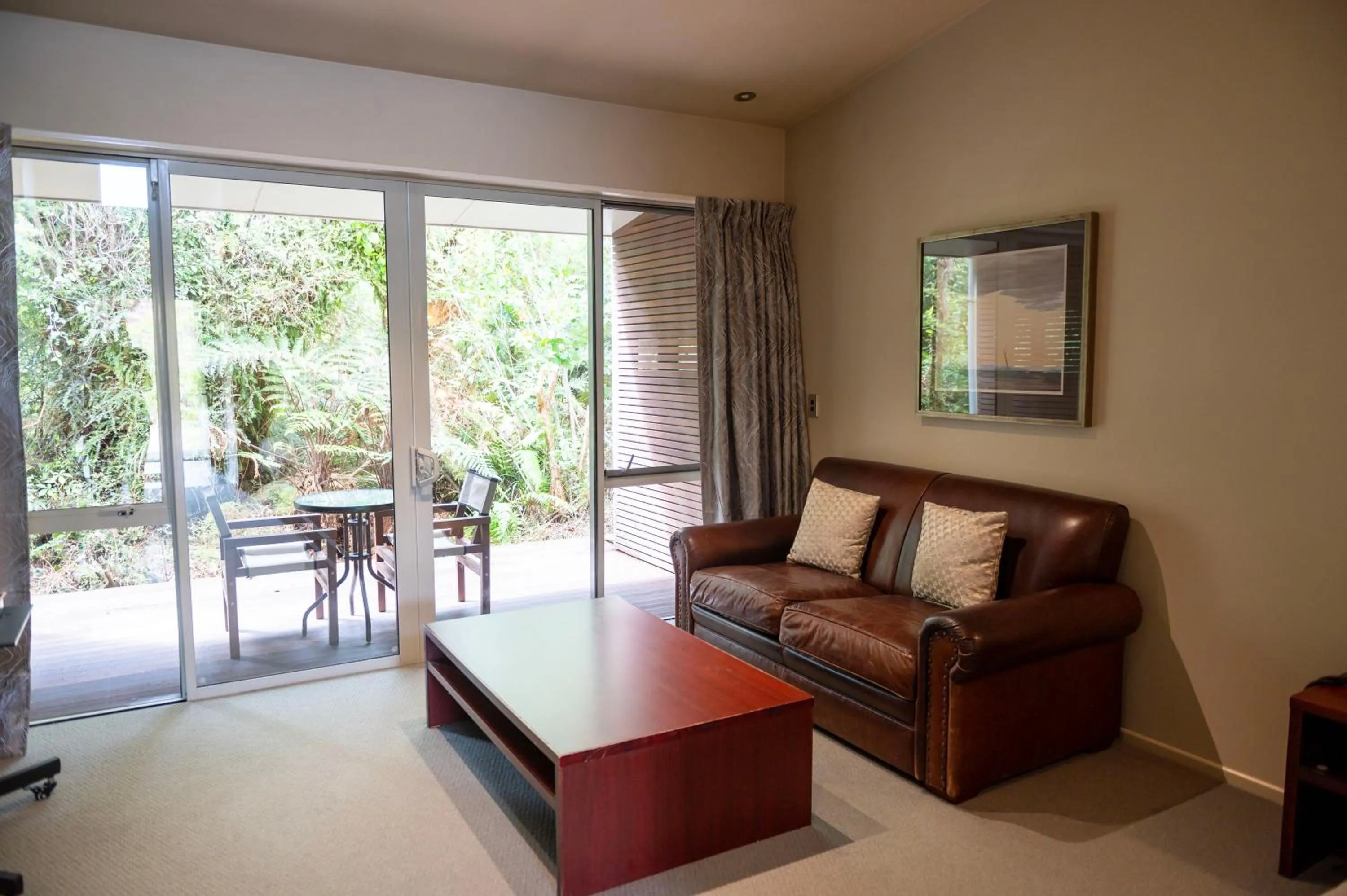 Seating area in Punga Grove