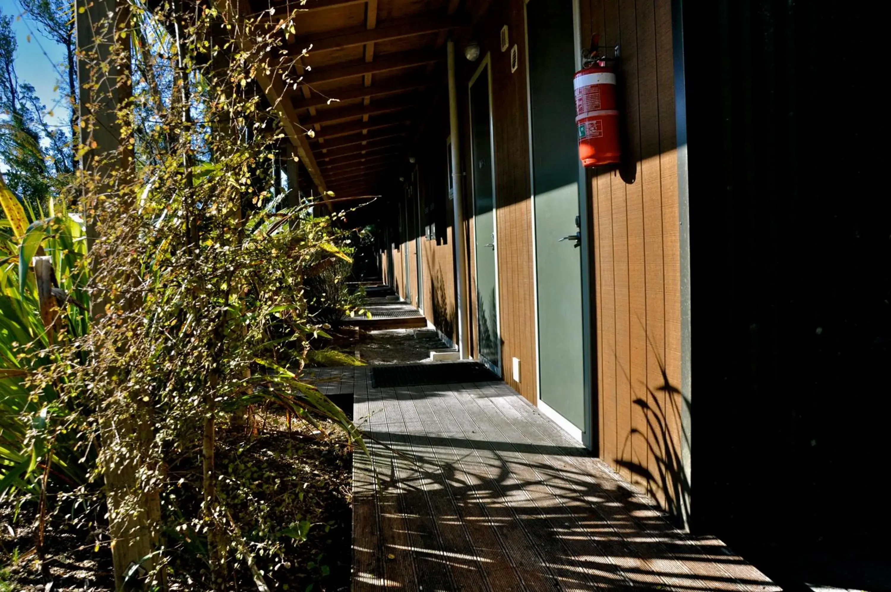 Day in Punga Grove Day in Punga Grove