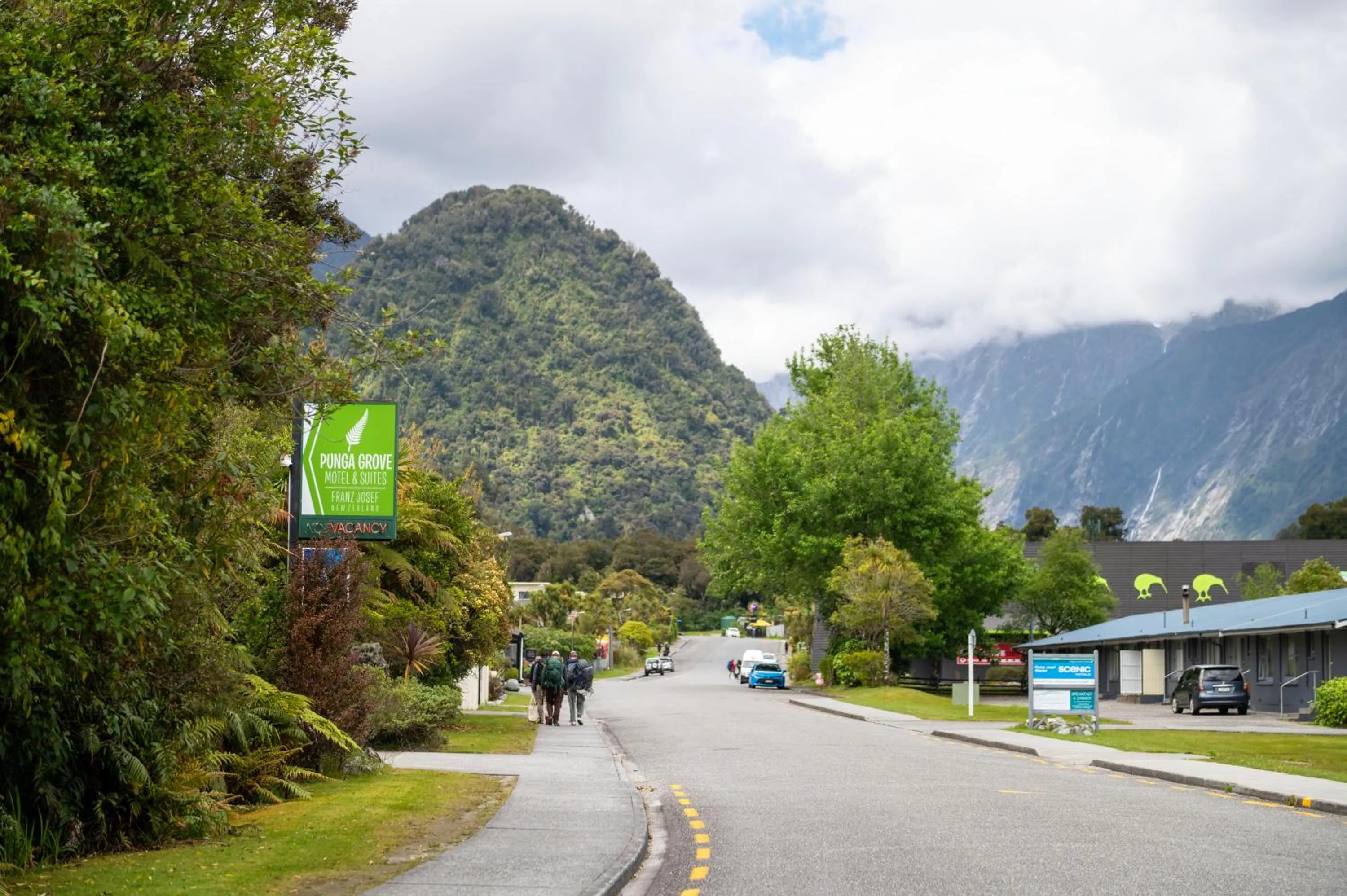 Street view in Punga Grove