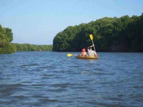 Seagulls Garden Cabanas