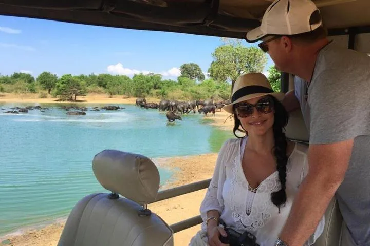 Seagulls Garden Cabanas