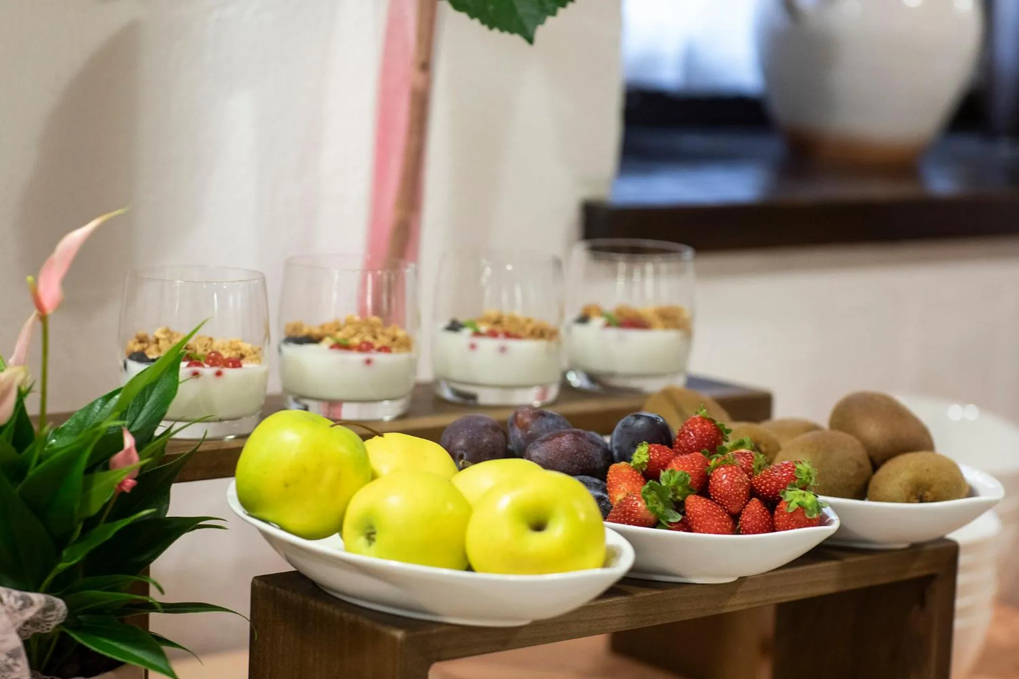 Food and drinks in House Klasika - Adults Only