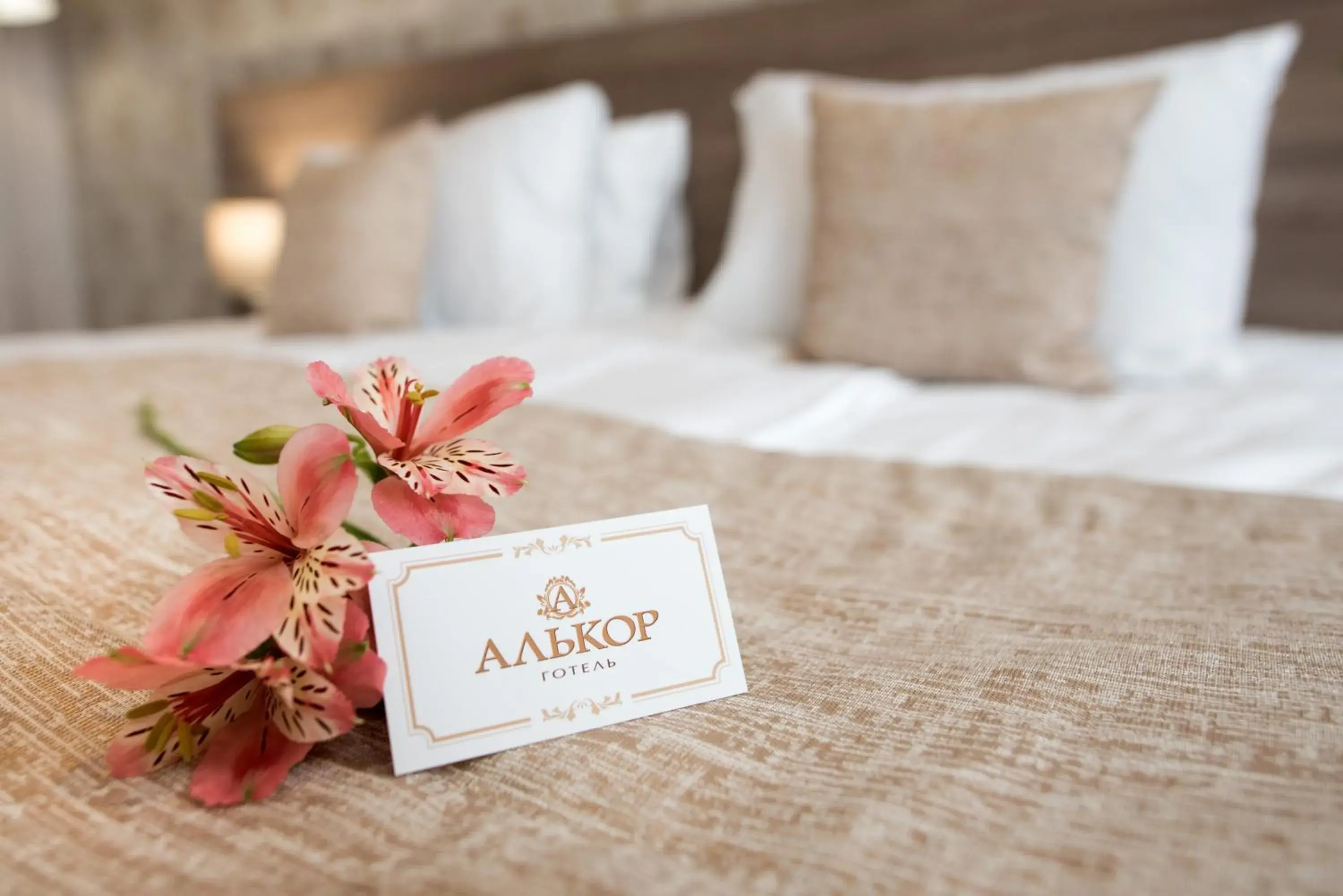 Standard Double Room in Hotel Alkor Standard Double Room in Hotel Alkor