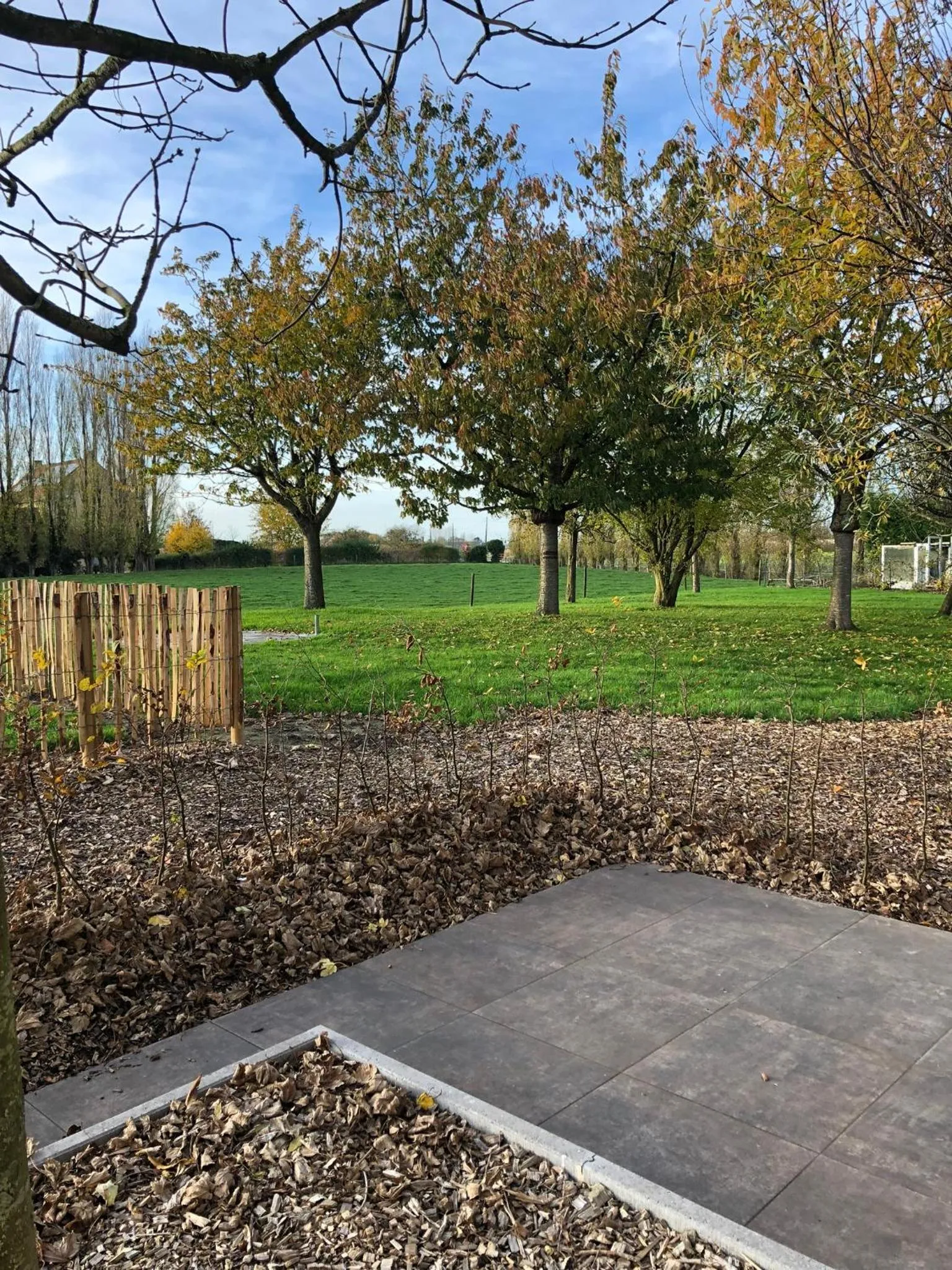 Garden in Hotel Hinterland