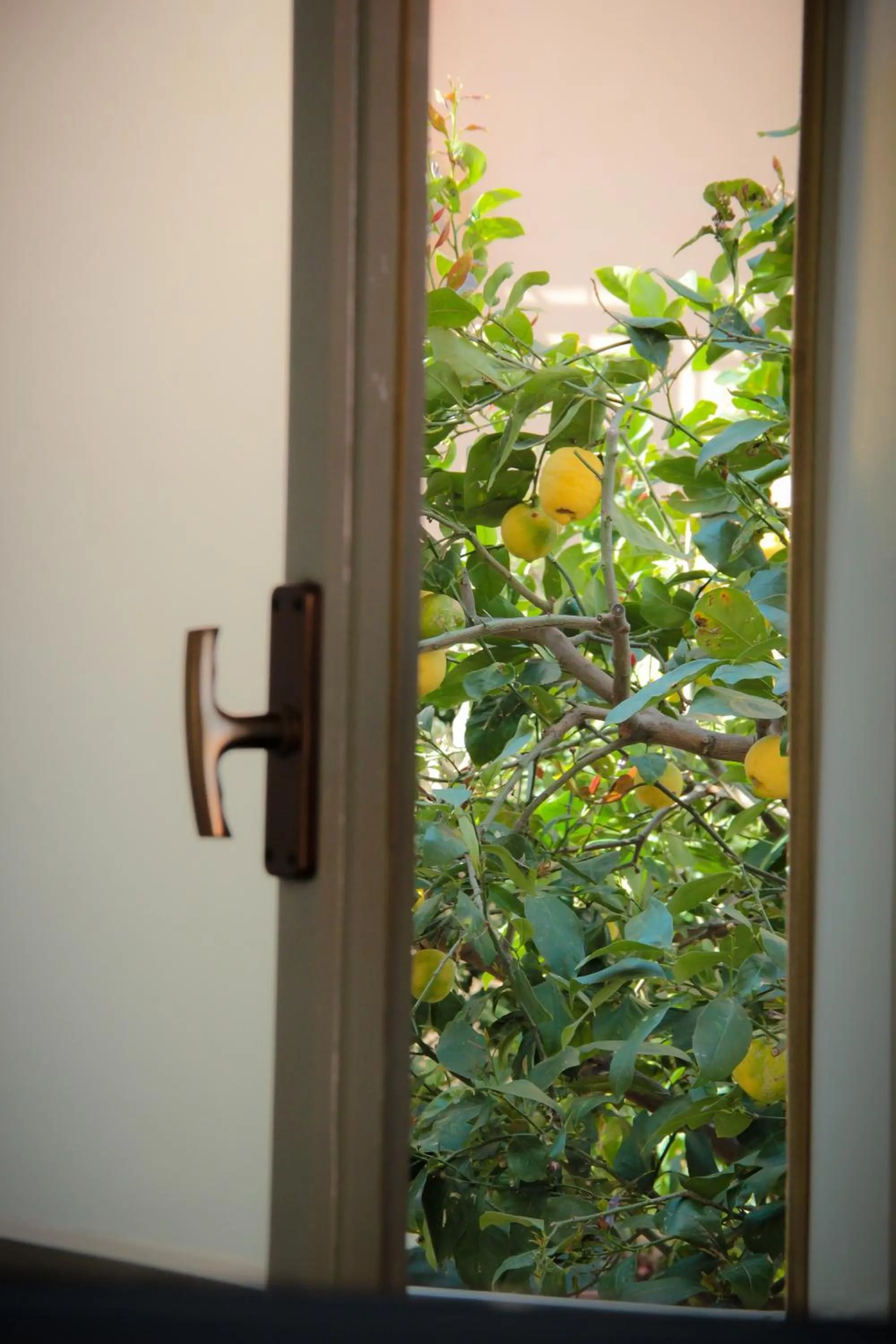 Decorative detail in B&B Cafisu