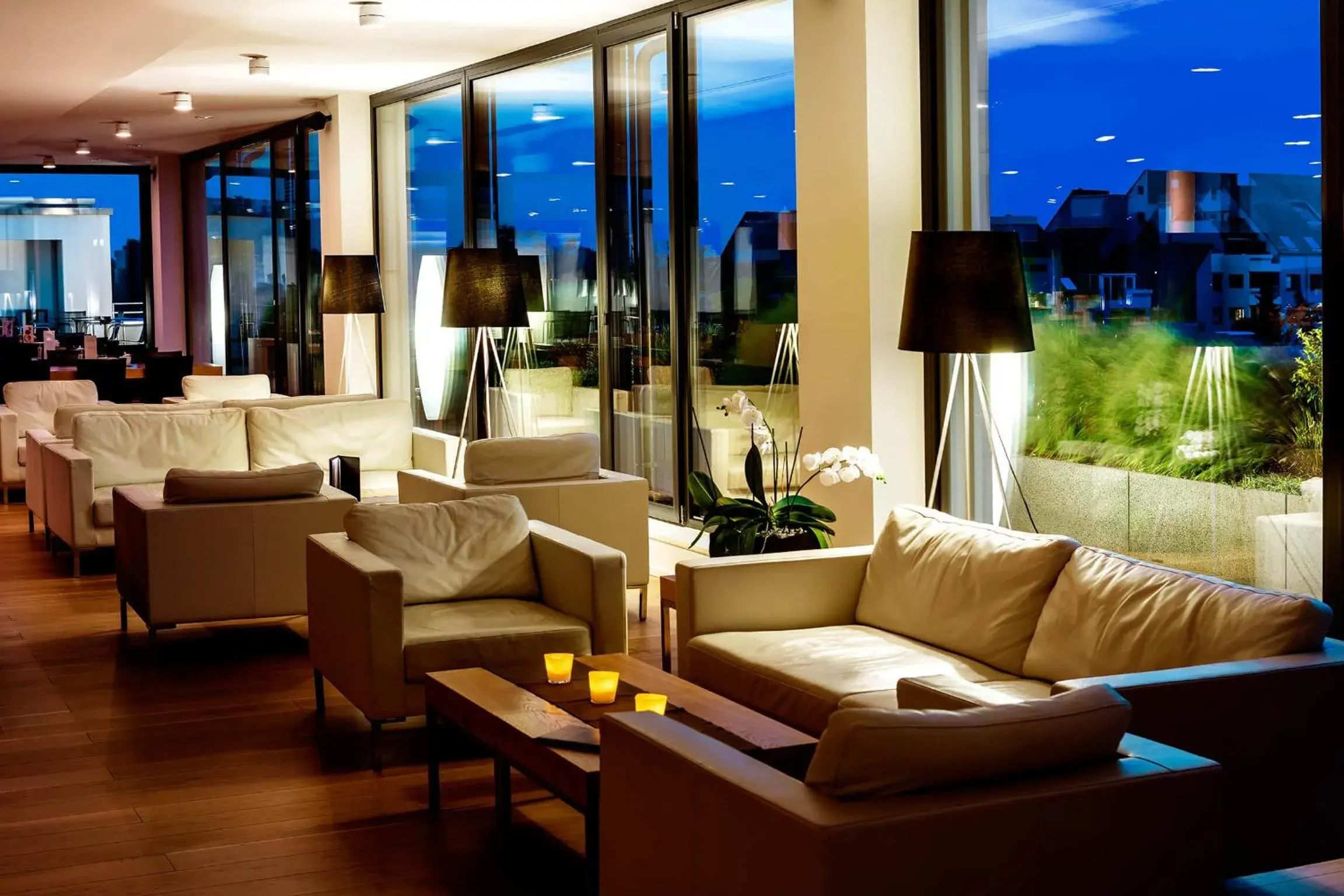 Lounge or bar in Midori - The Green Guesthouse Lounge or bar in Midori - The Green Guesthouse