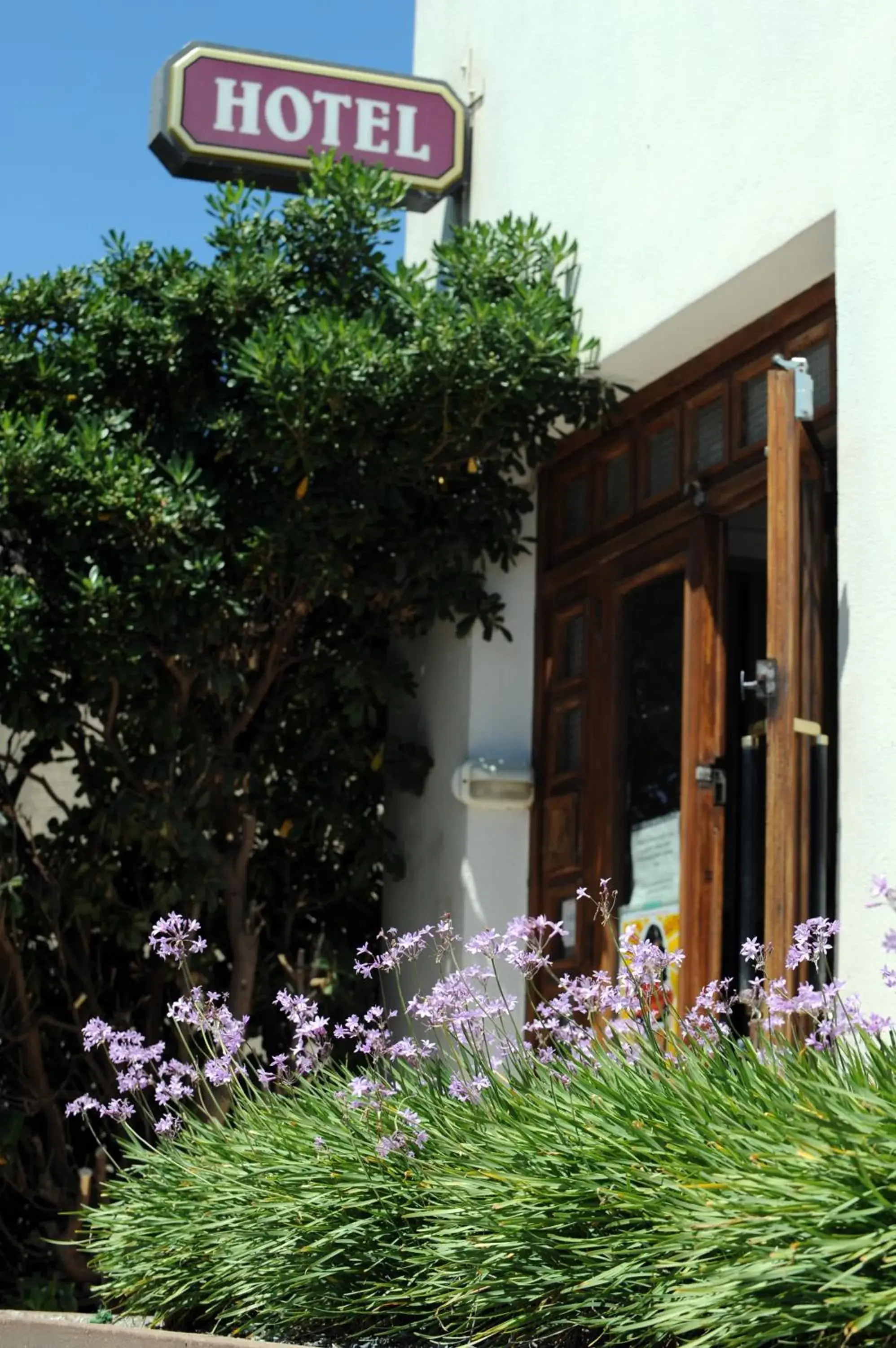 View (from property/room) in Hôtel du Midi Plage View (from property/room) in Hôtel du Midi Plage