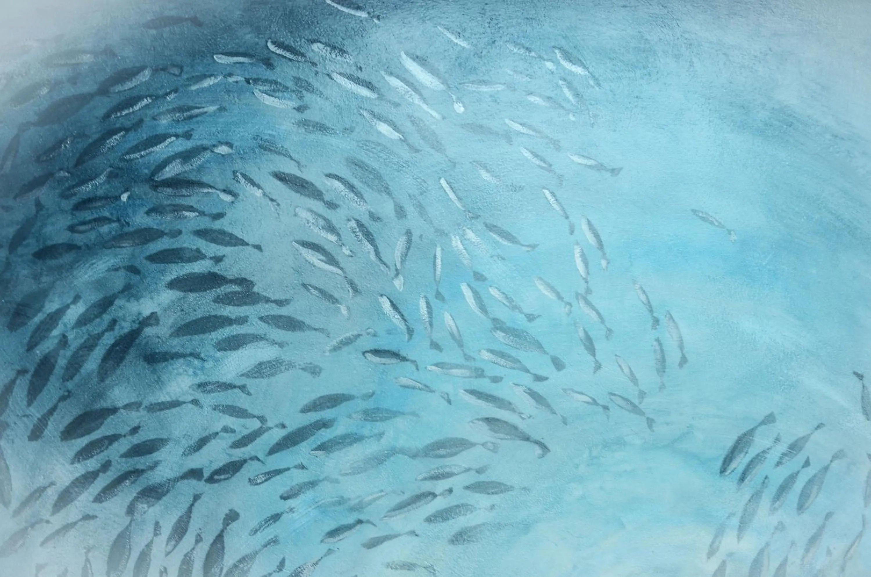 Decorative detail in Racconti di Mare - 5 Terre JRE