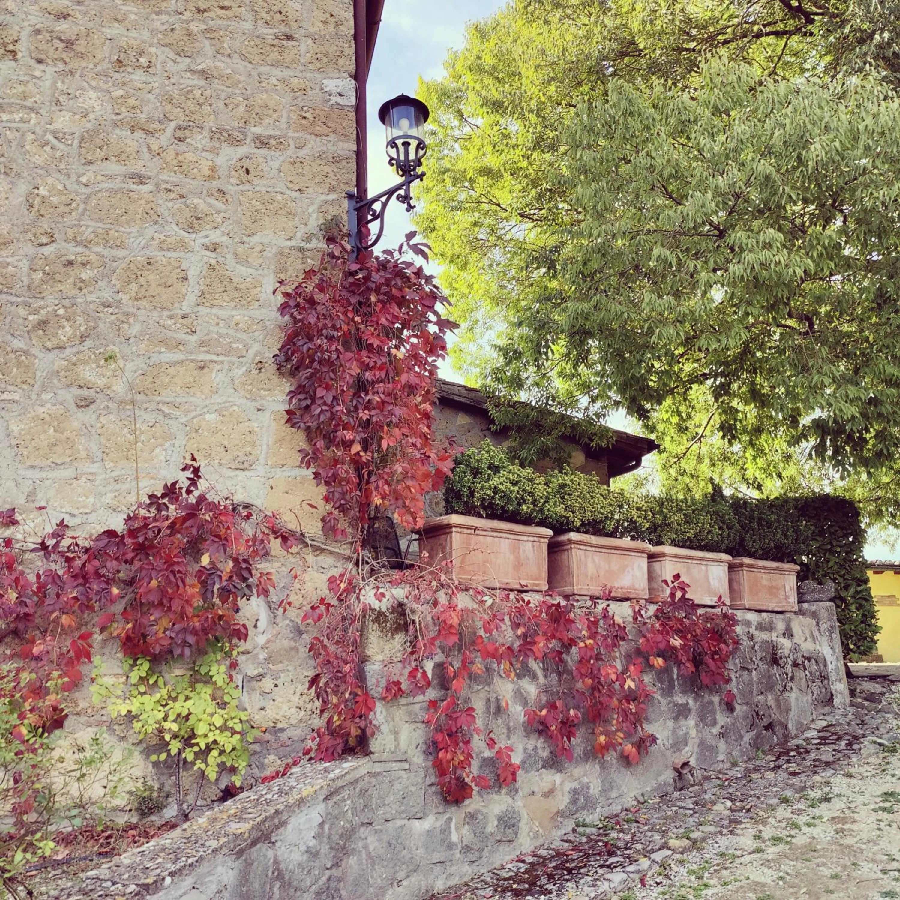 Garden in La Locanda Della Chiocciola