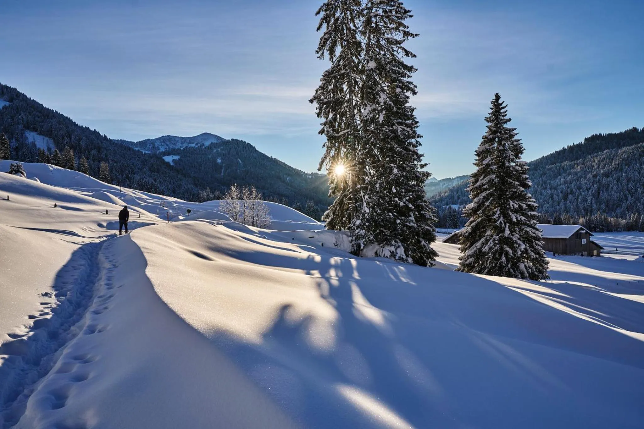 Natural landscape in HUBERTUS Mountain Refugio Allgäu