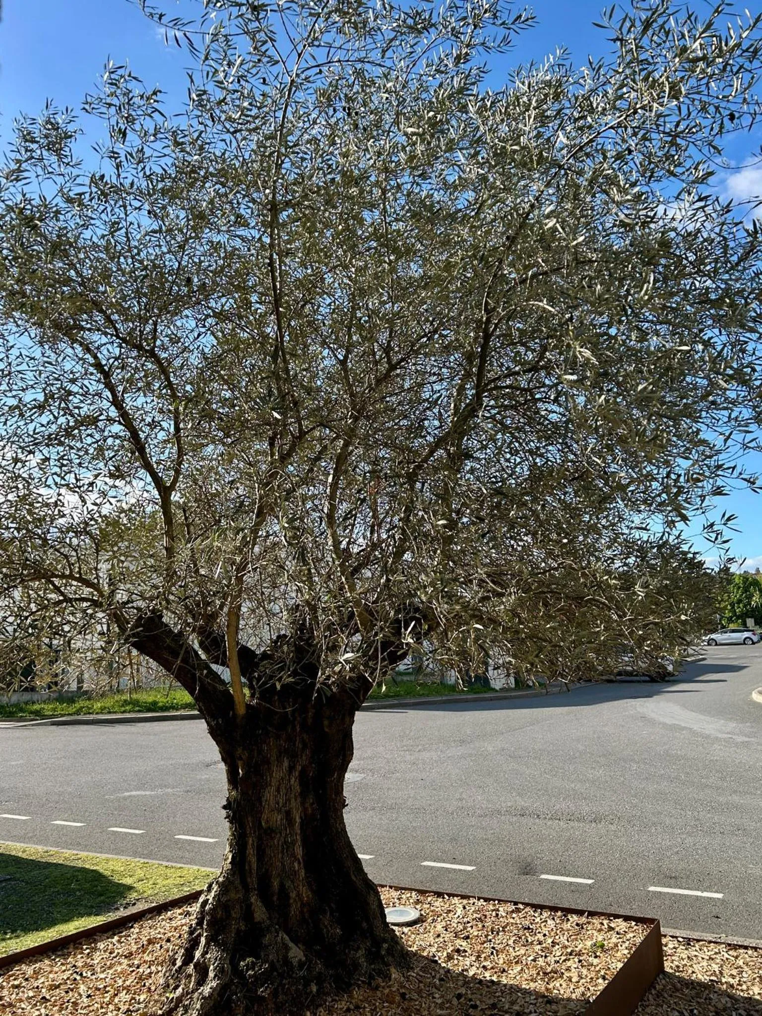 Le B Complexe Hôtel