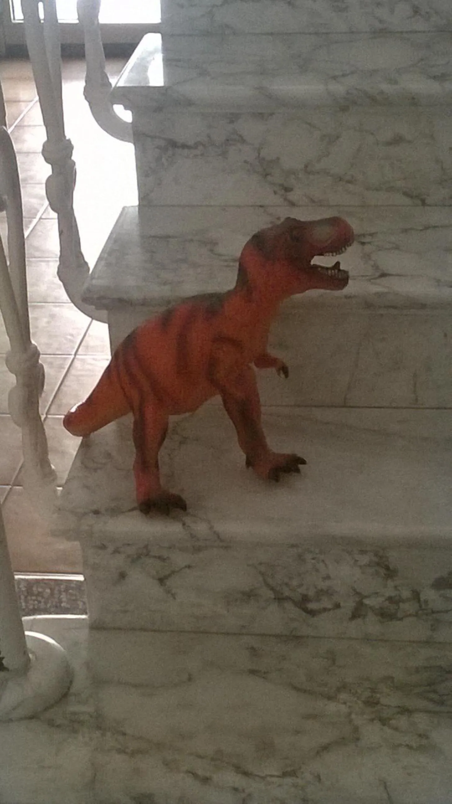 Pets in Hotel Fiammetta