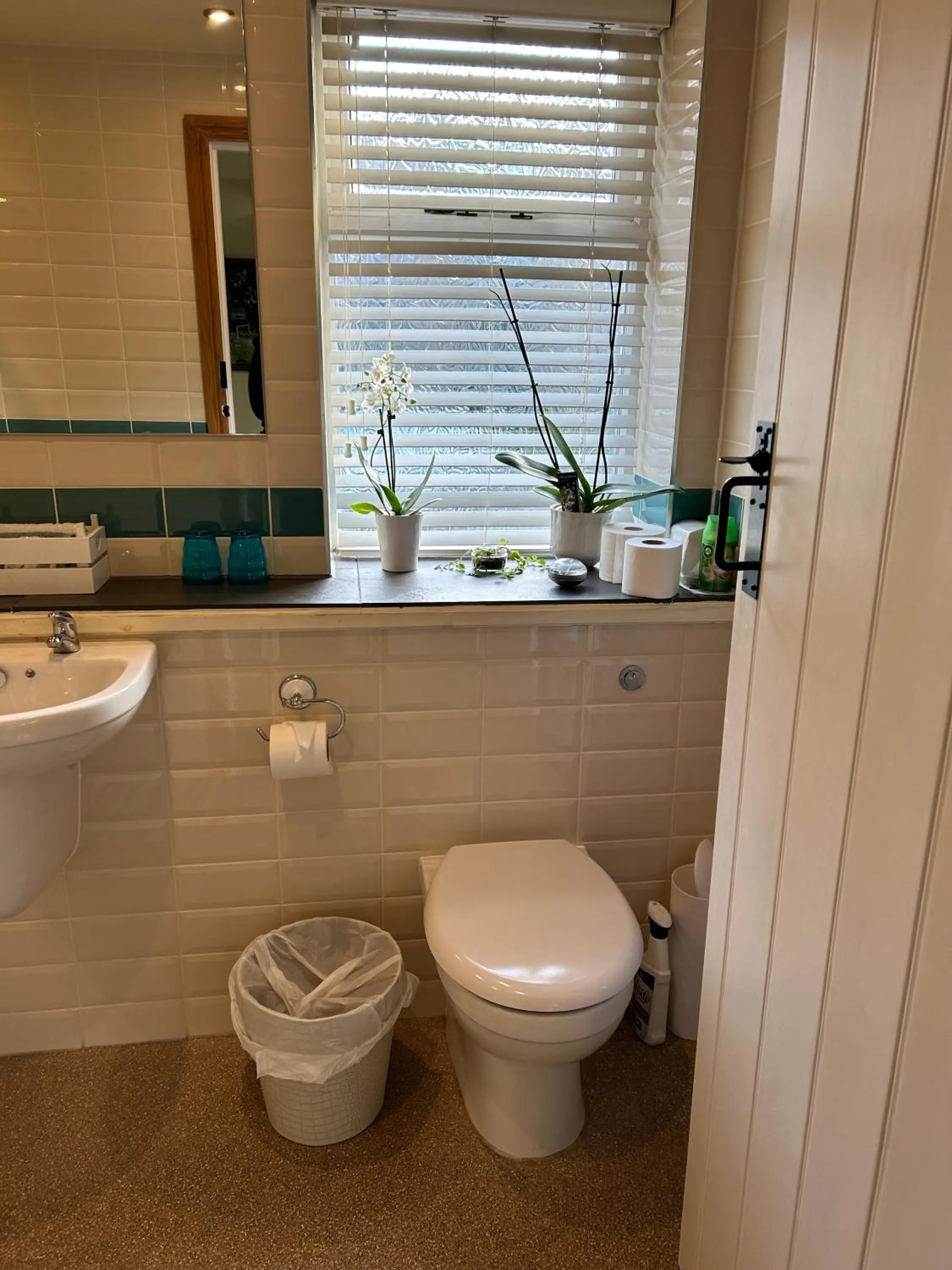 Toilet in The Potting Shed