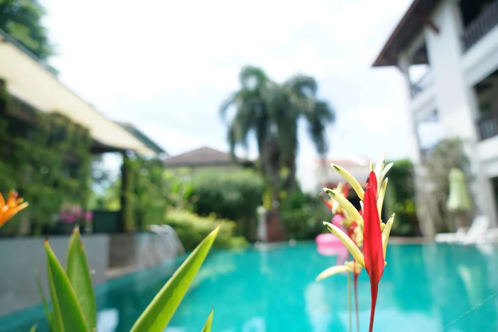 Property building in Phuket Monaburi Boutique Hotel