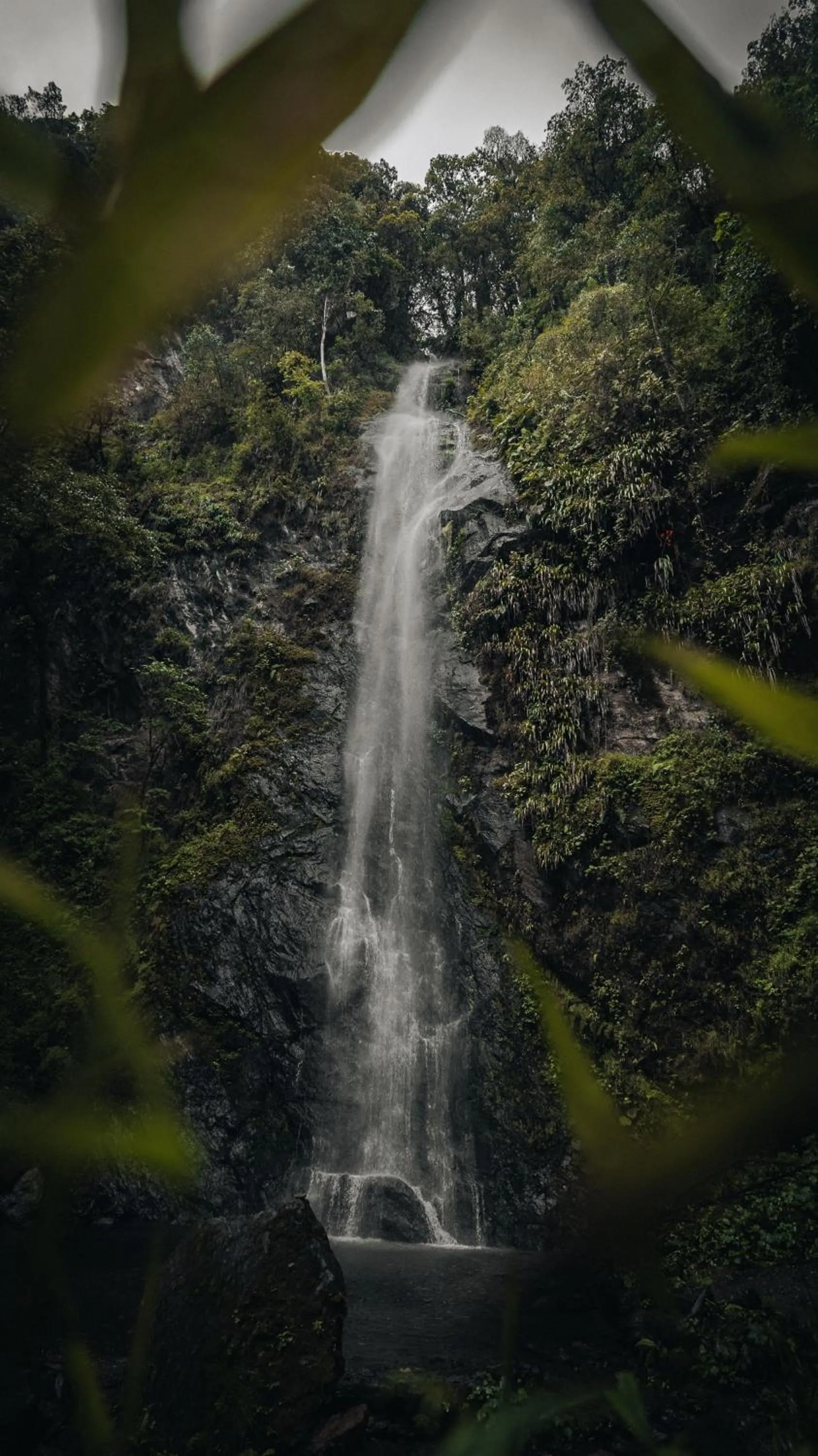 Natural landscape in Glamping Lumbre