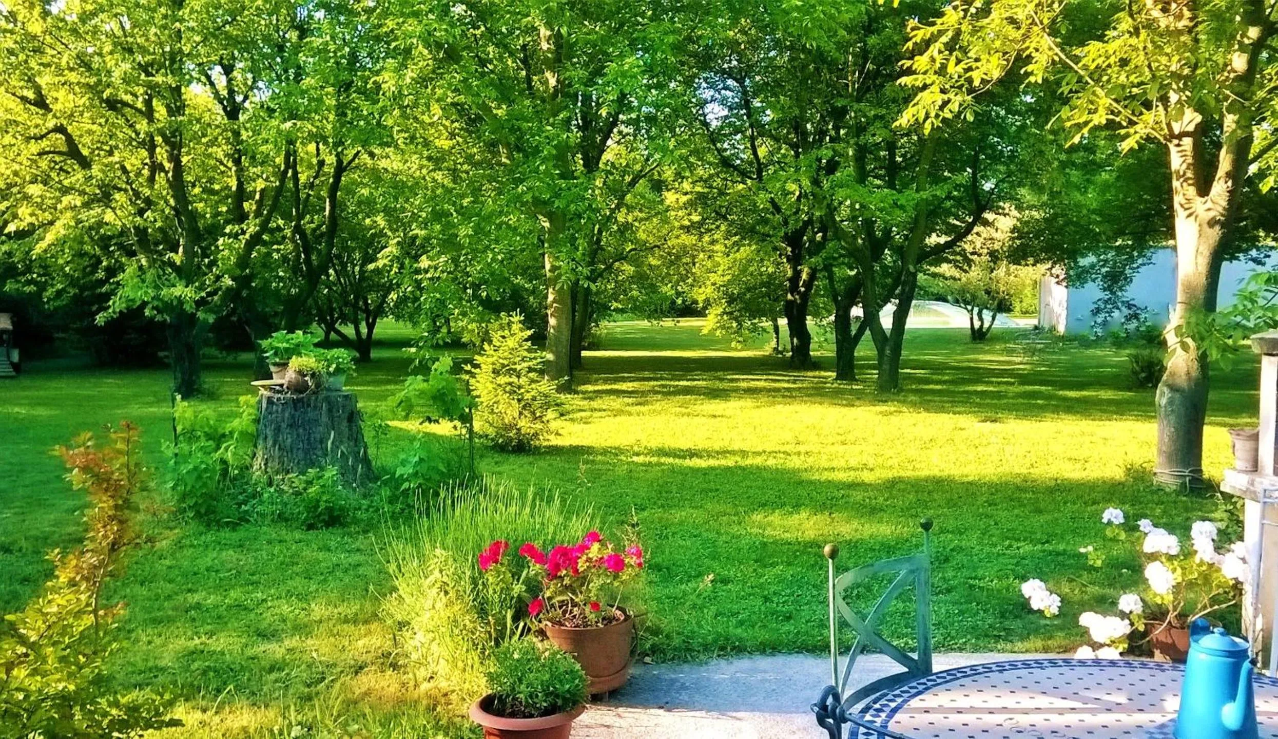 Garden in les trésors de malle mialle