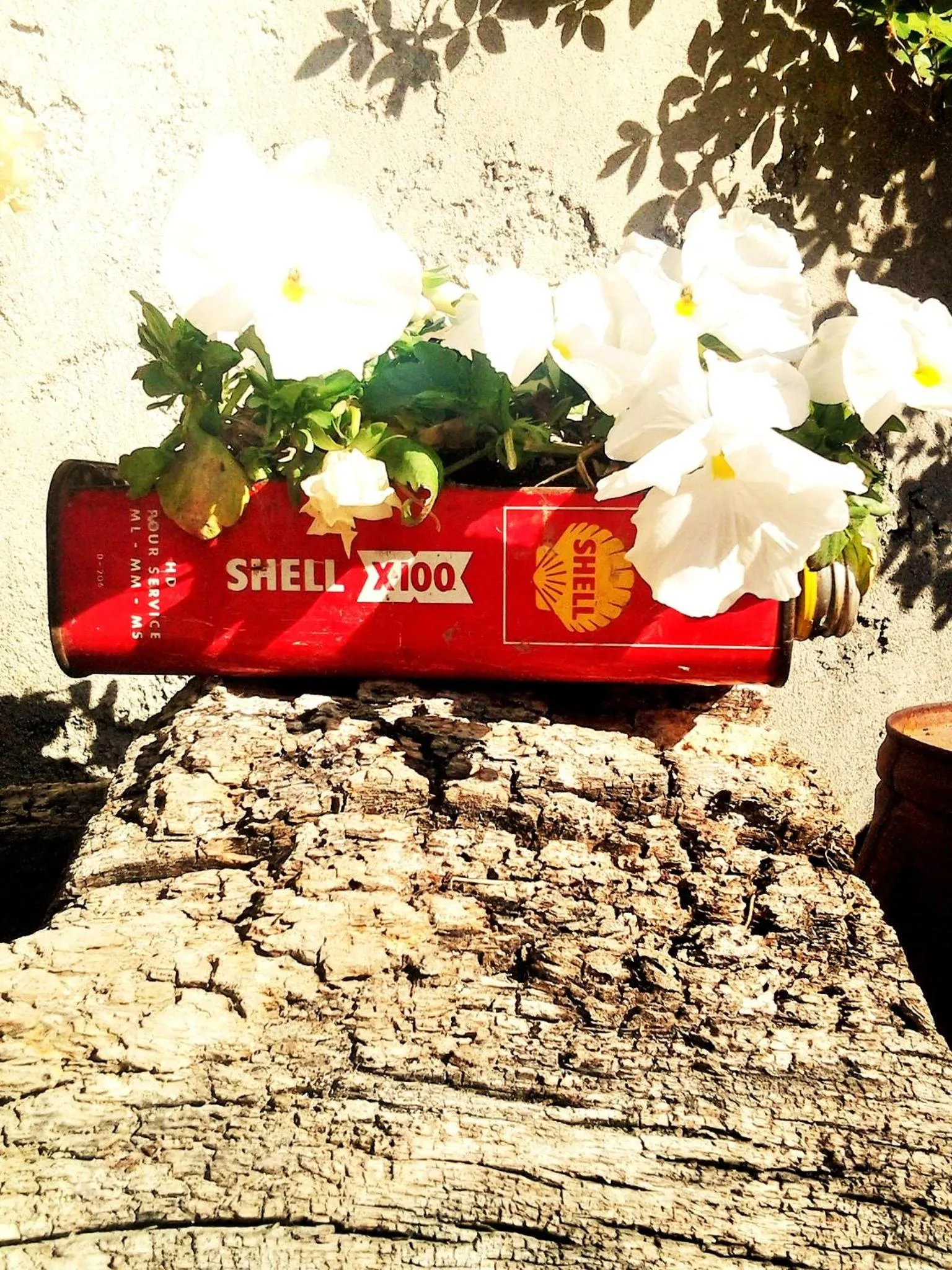 Garden in les trésors de malle mialle