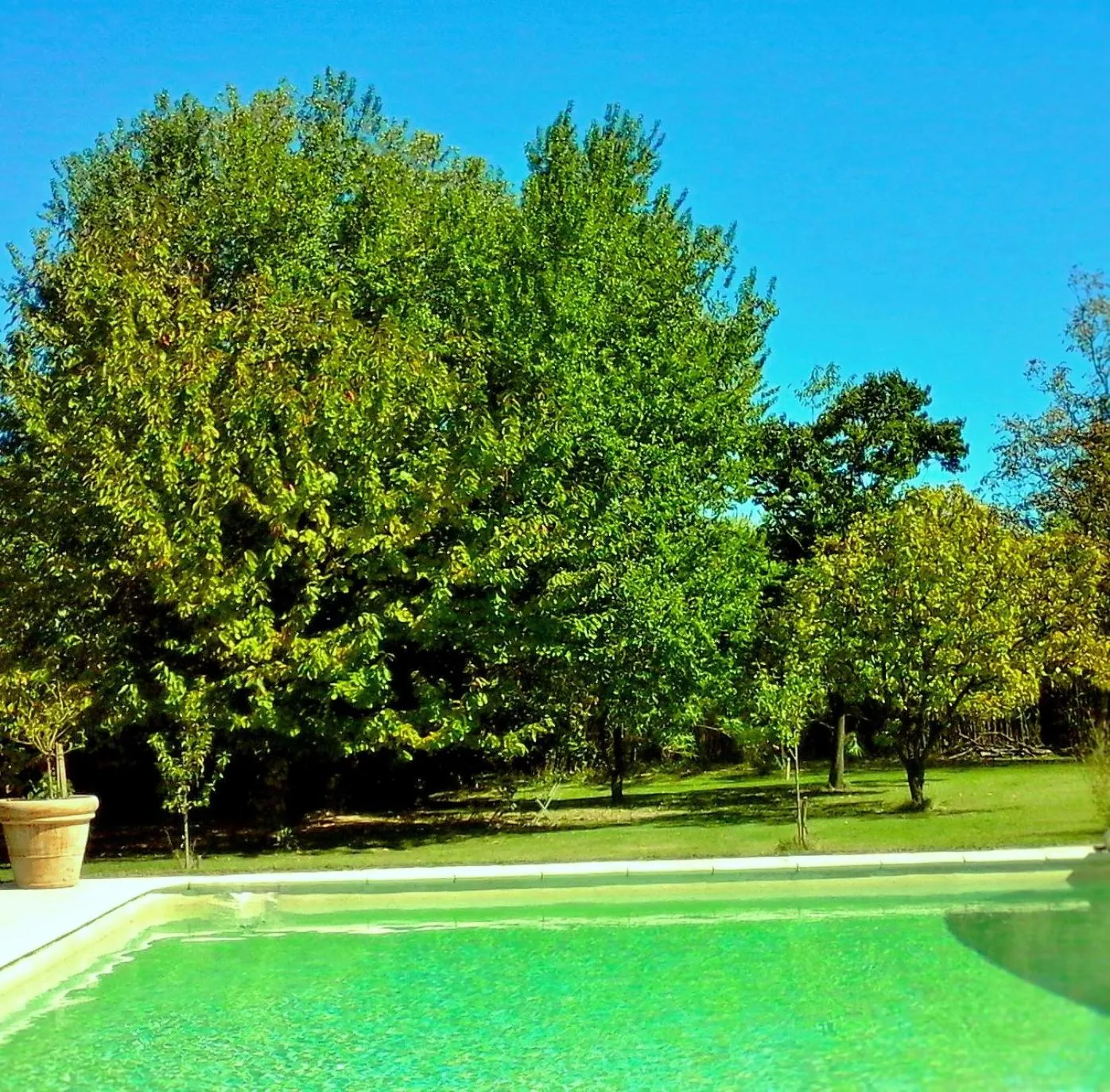 People in les trésors de malle mialle