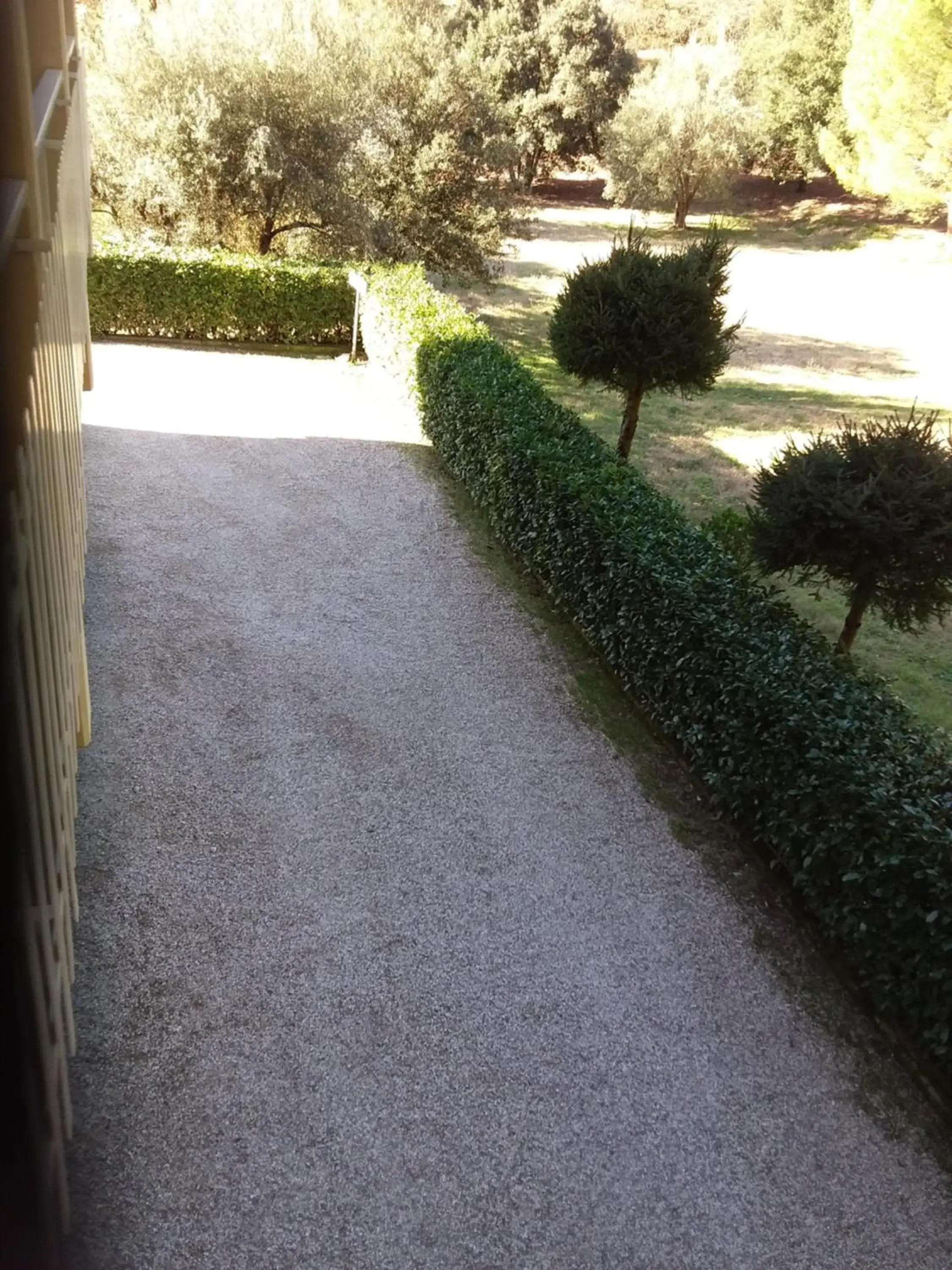 Garden view, Garden in Albergo Nyers