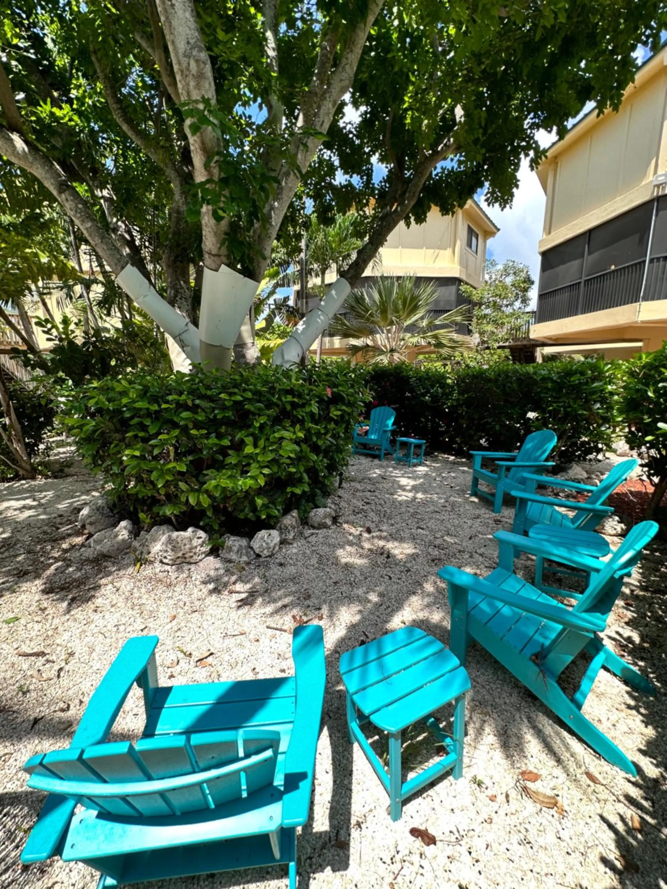 Seating area in Coco Plum Beach & Tennis Club & Marina