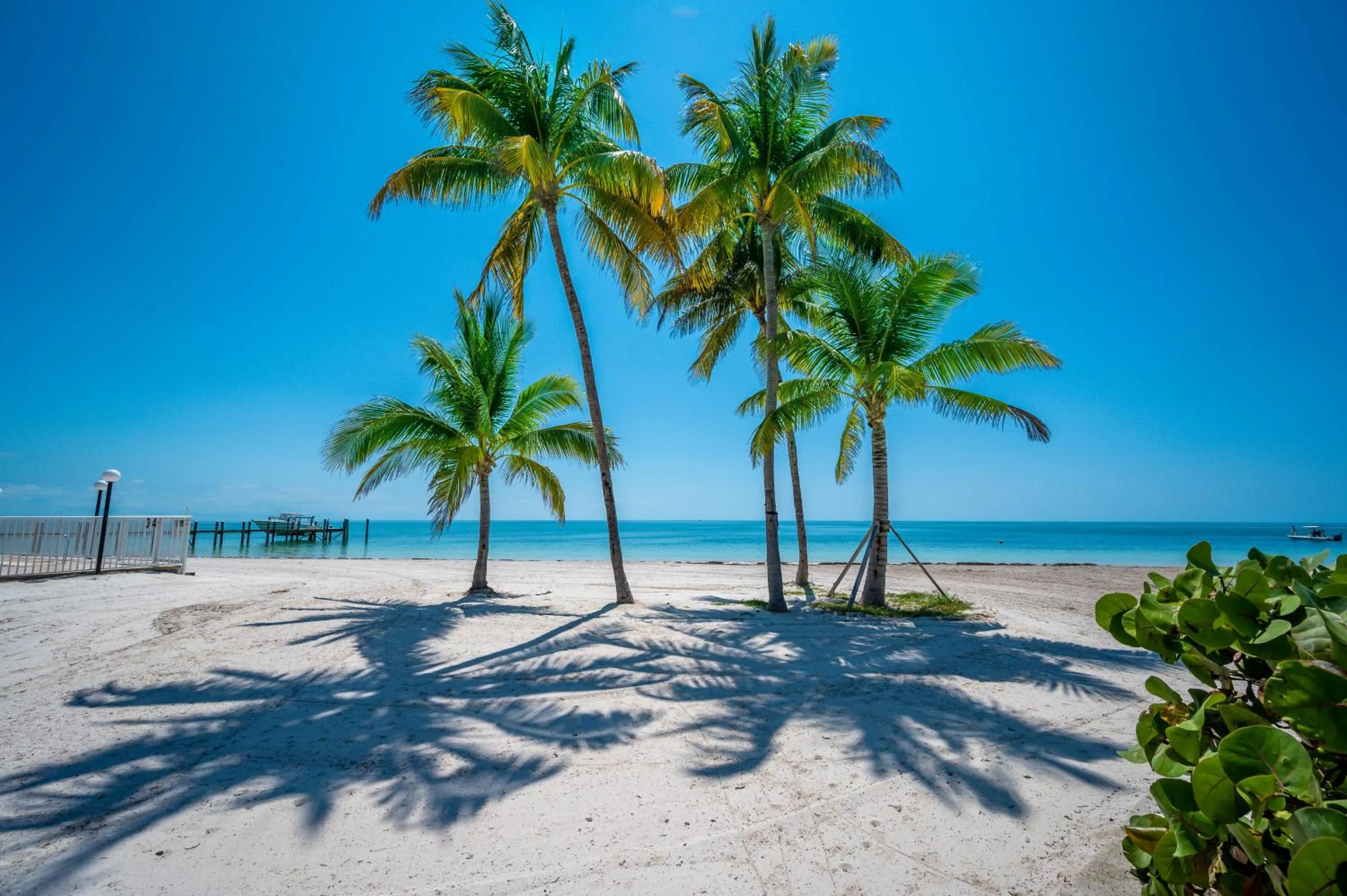Natural landscape in Coco Plum Beach & Tennis Club & Marina