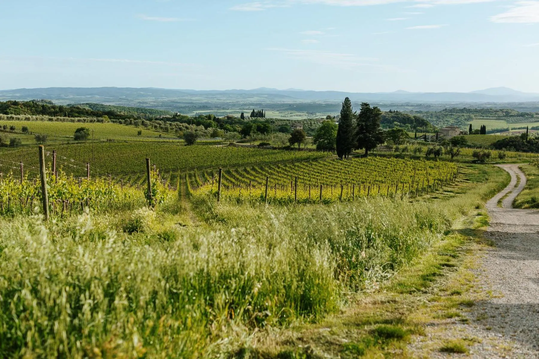 Garden view in Villa Di Sotto
