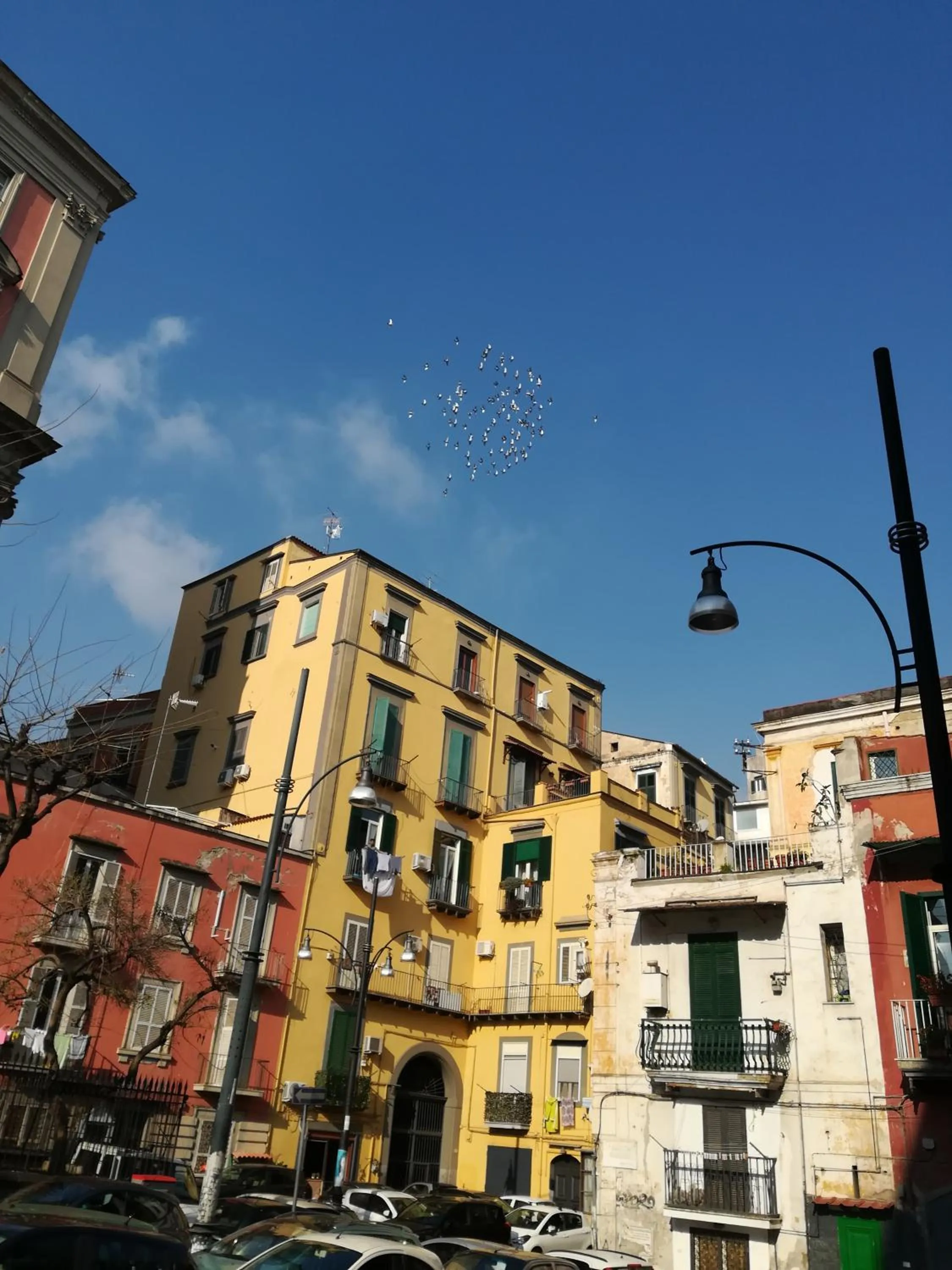 Nearby landmark in le stanze di mimi