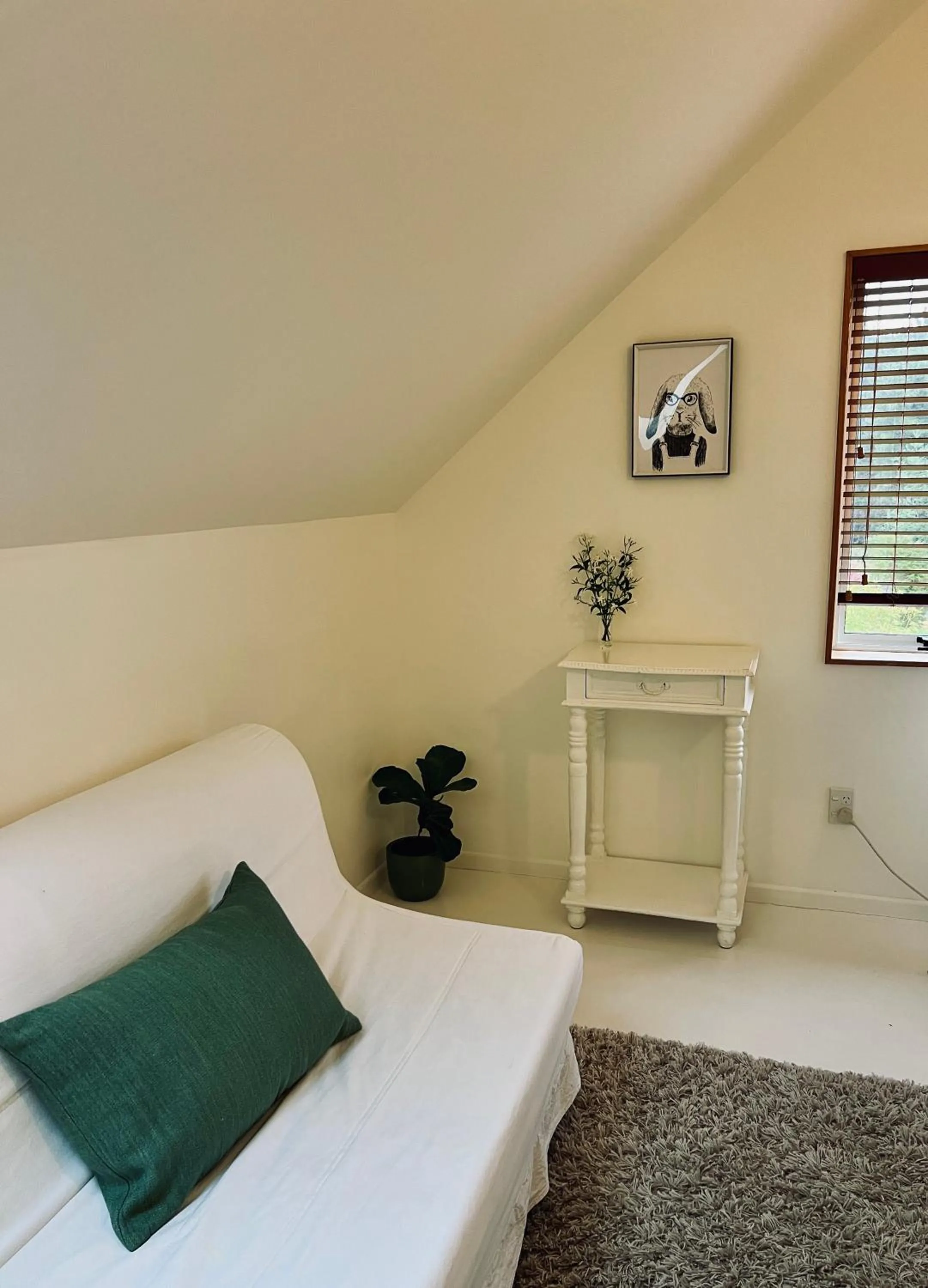 Beech Hill - Pet Friendly Holiday Home