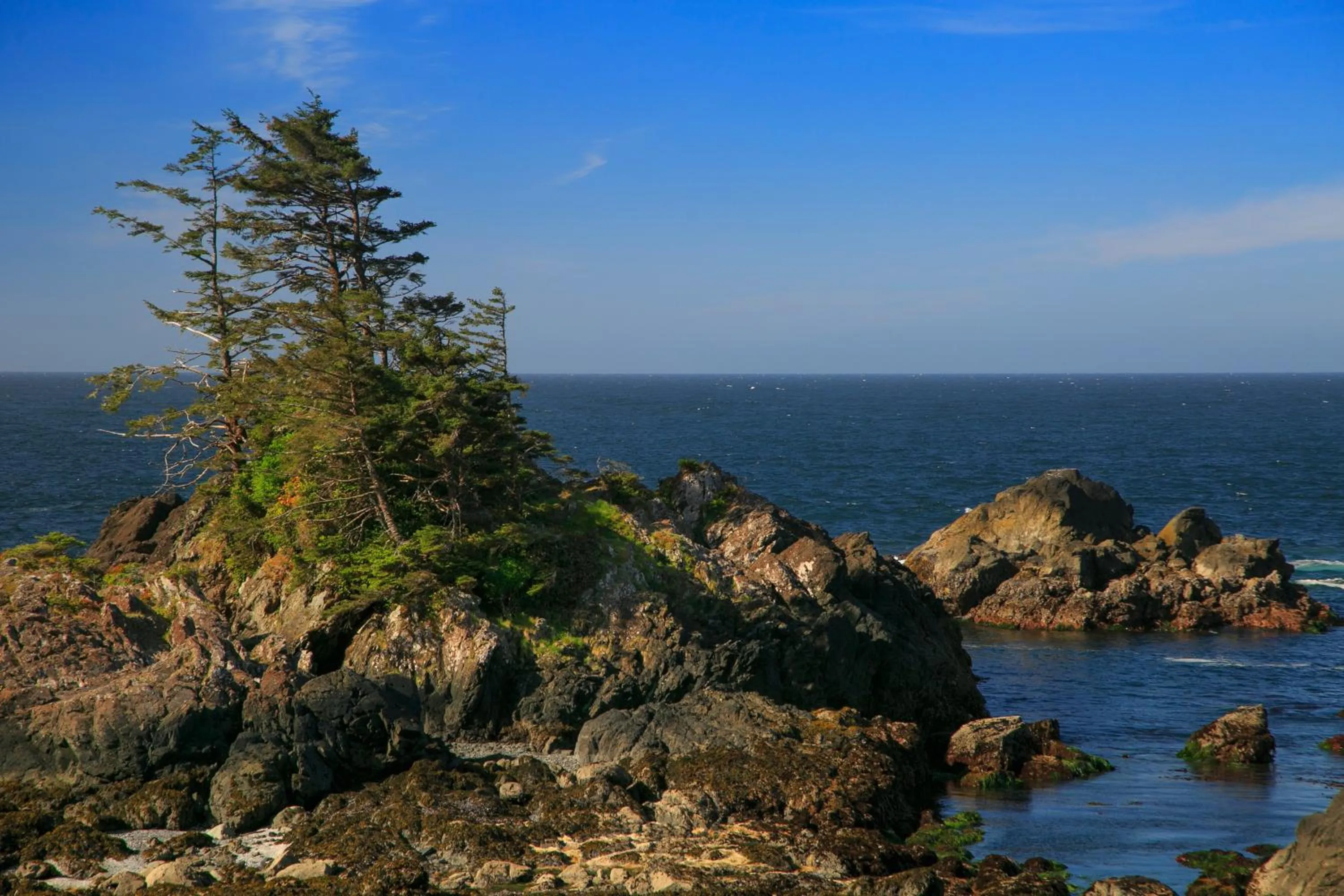 Natural landscape in Black Rock Beach House
