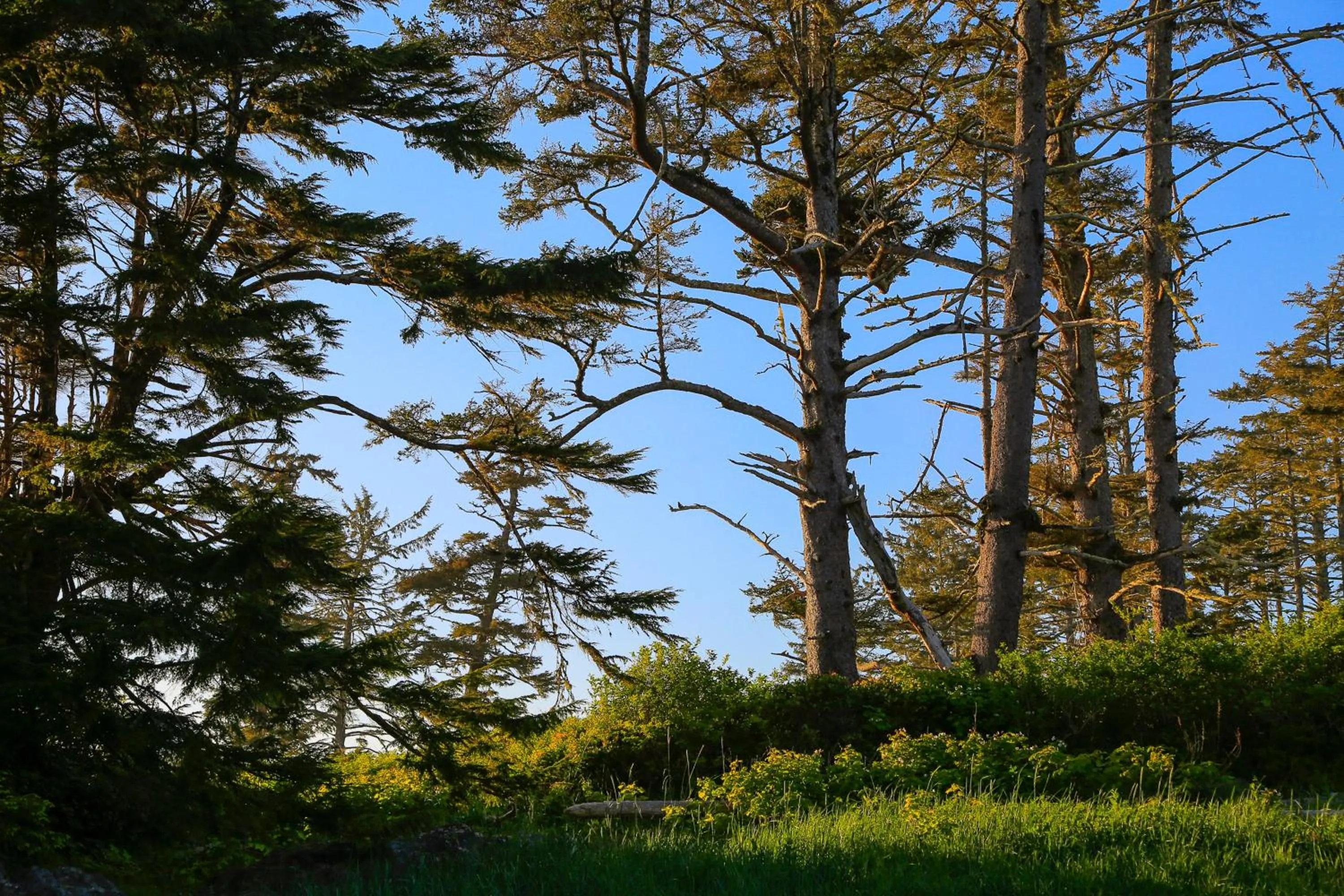 Natural landscape in Black Rock Beach House