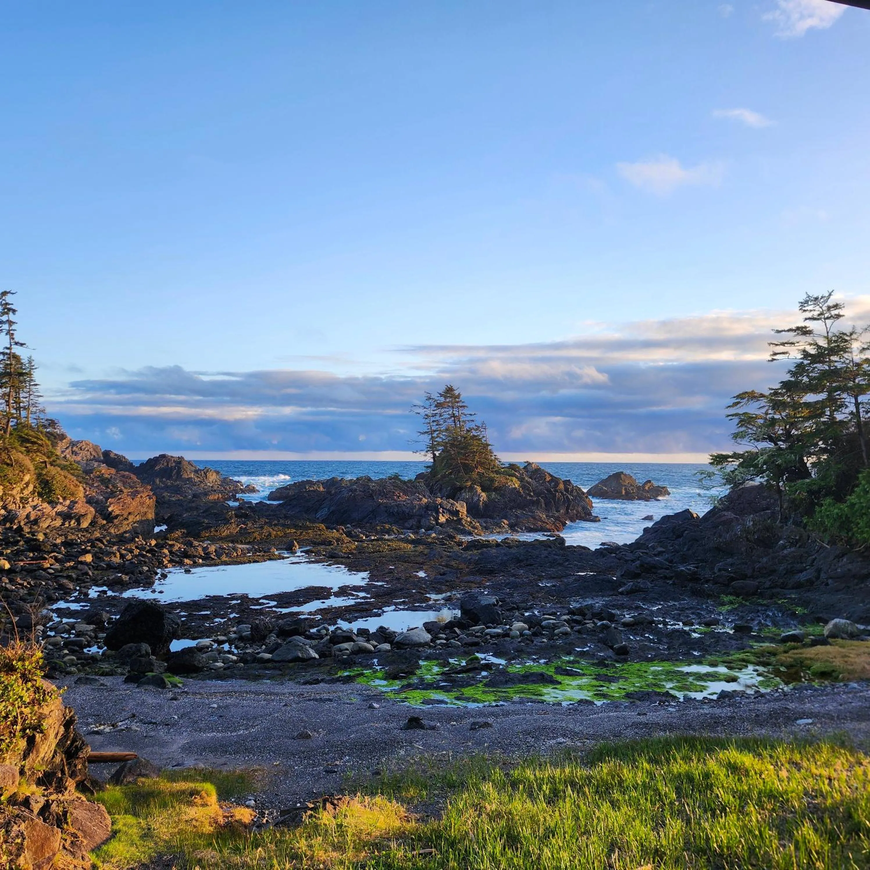 View (from property/room) in Black Rock Beach House