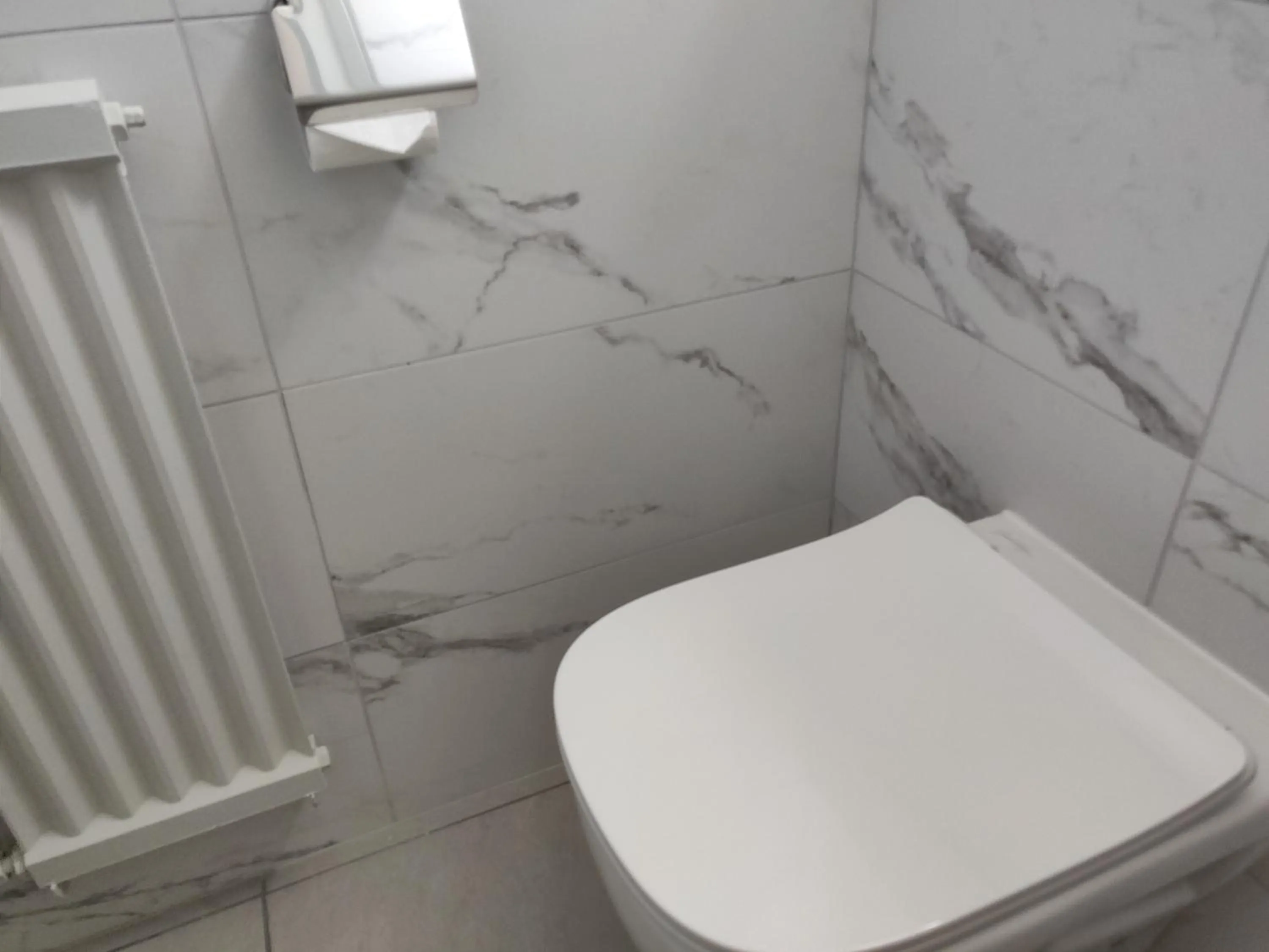 Toilet in Cit'Hotel Logis De Brou, Bourg en Bresse