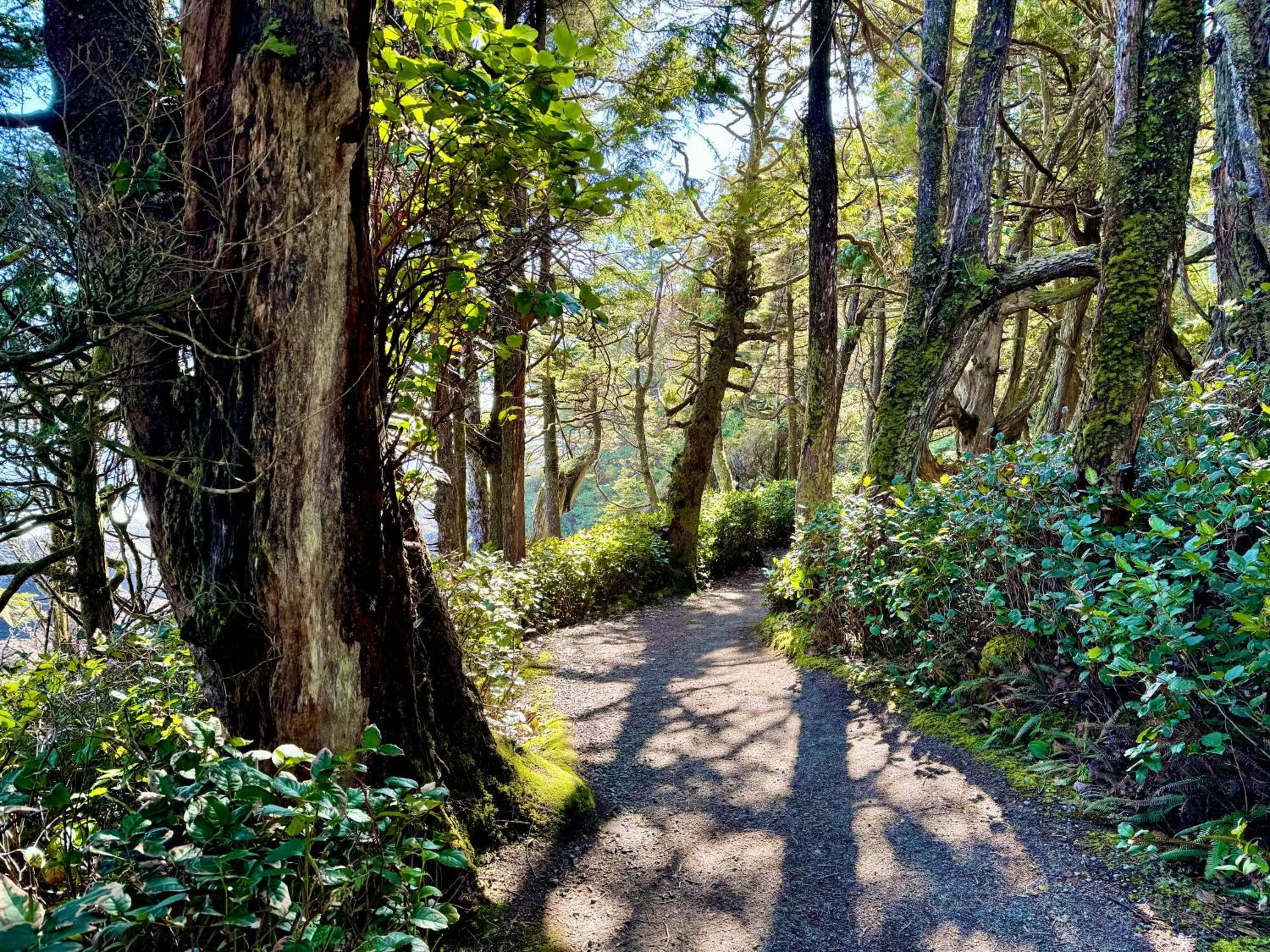 Natural landscape in Black Rock Ridge